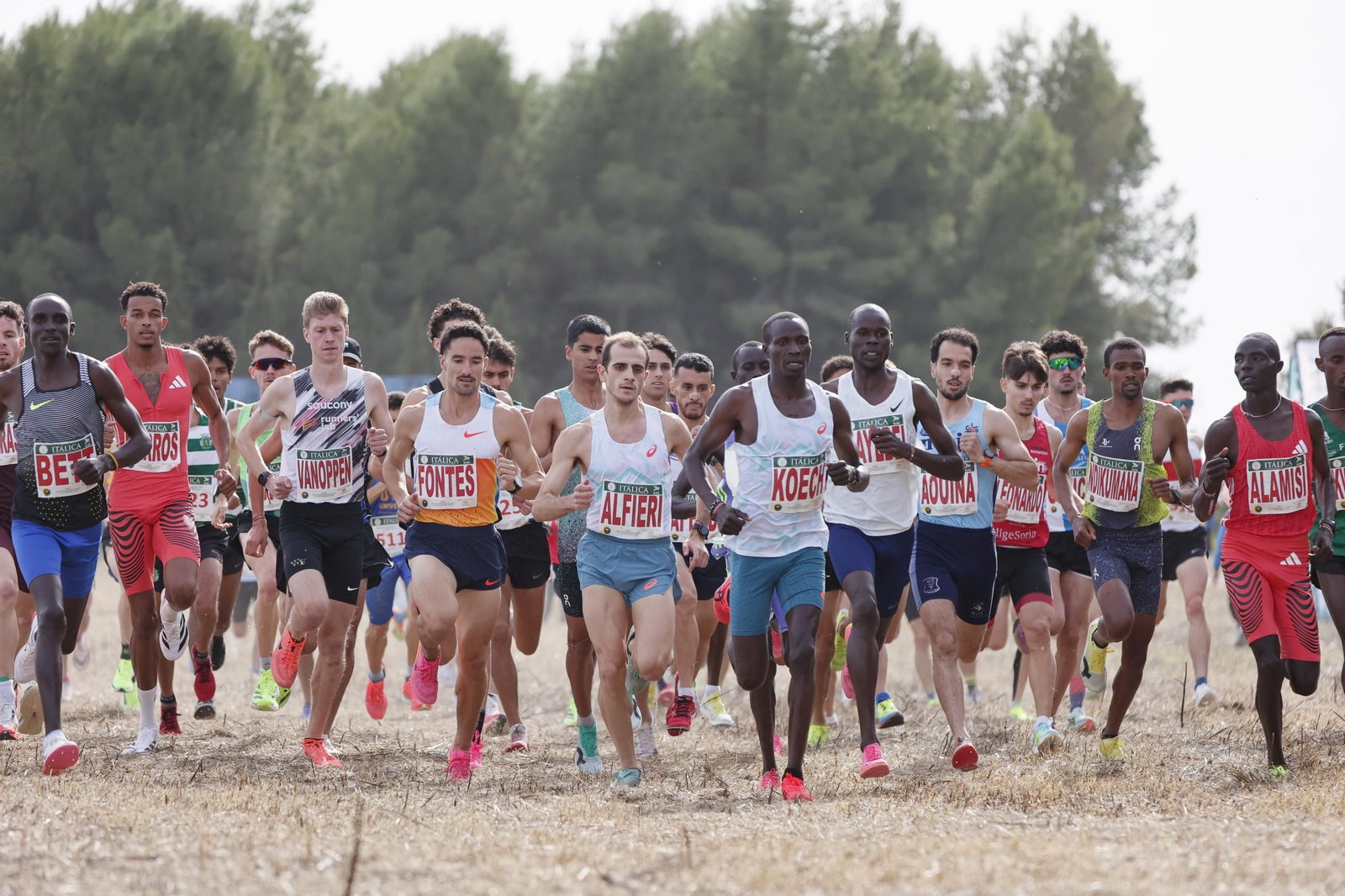 Las mejores imágenes del Cross de Itálica