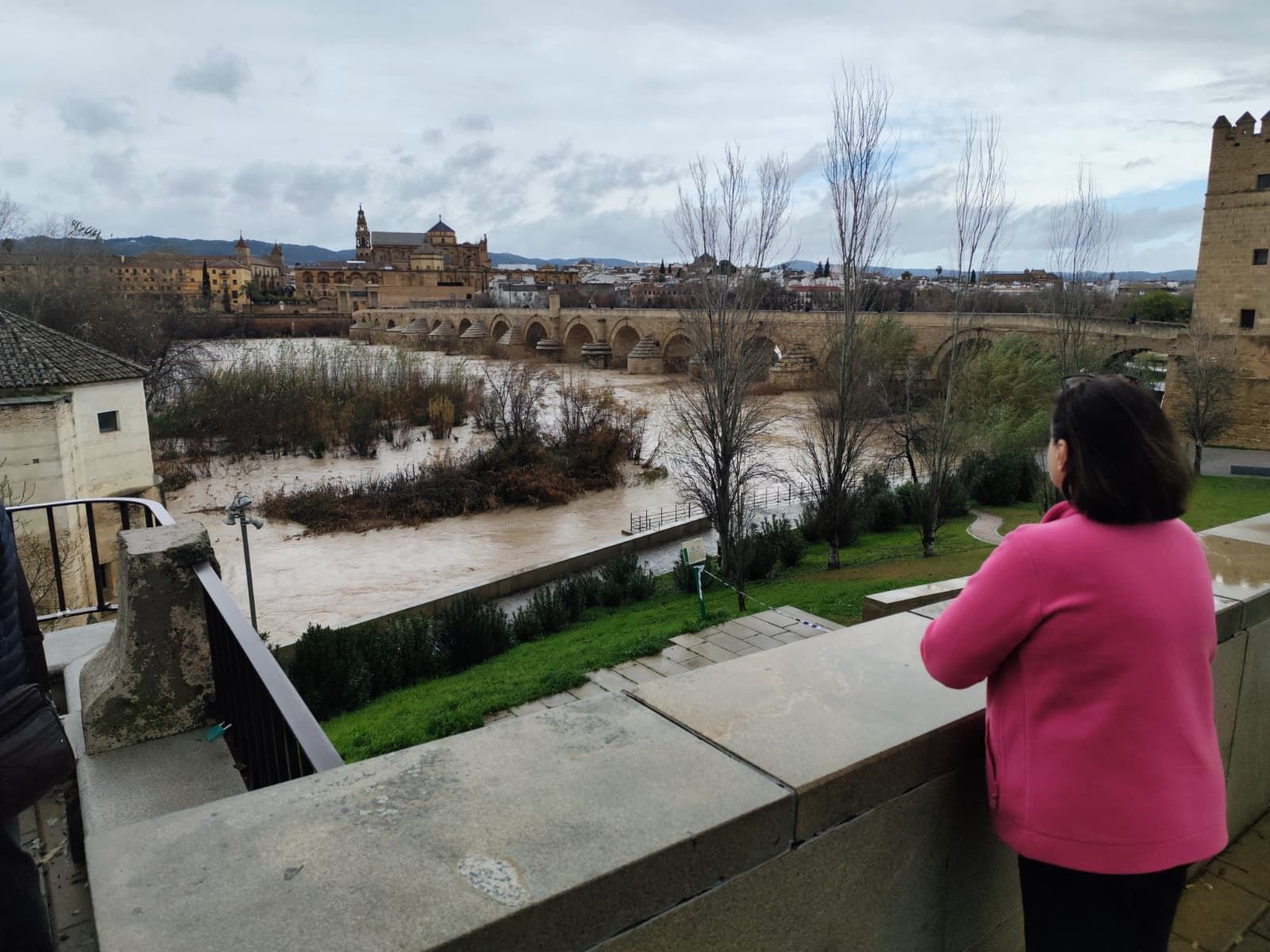 Aspecto que presenta el río Guadalquivir este miércoles tras las intensas lluvias.
