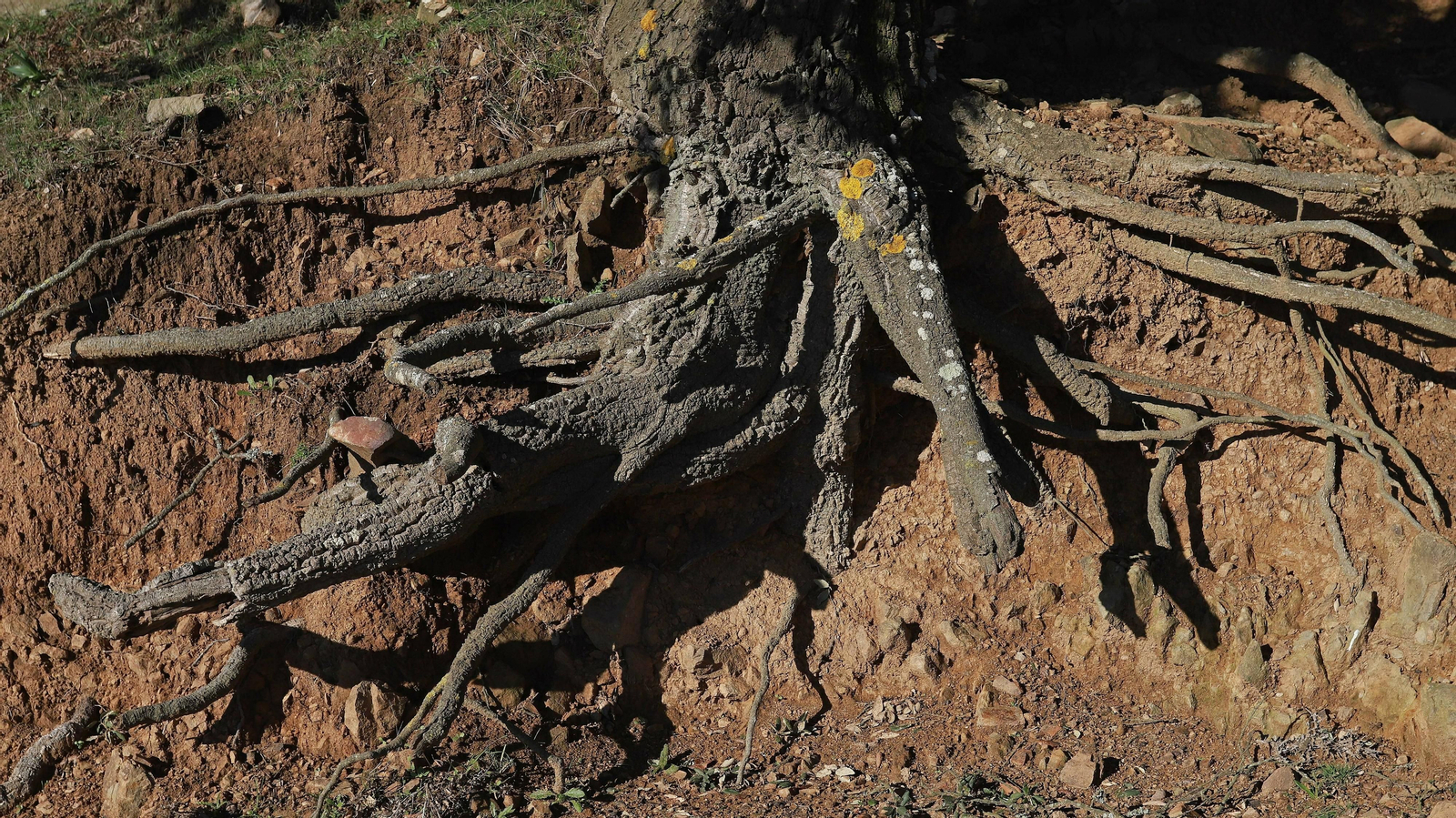 Las mejores fotos del Tajo de las Escobas