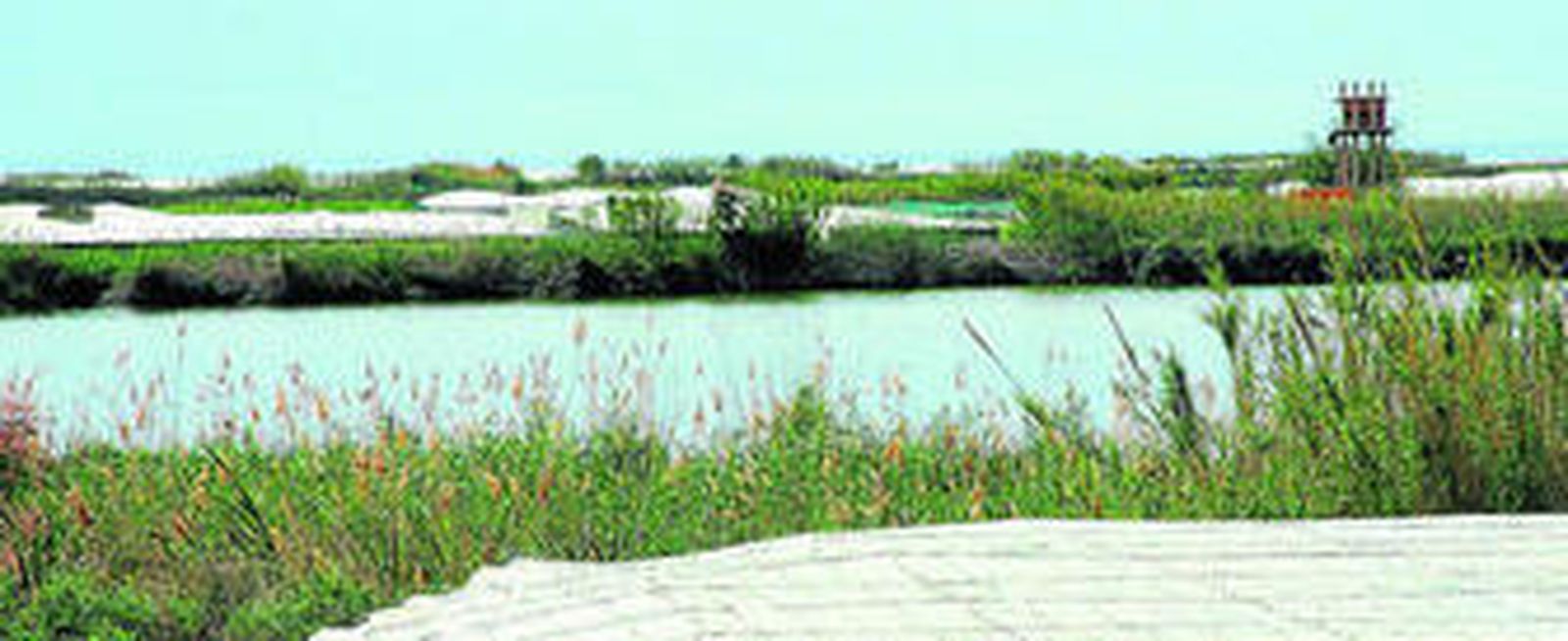 La Albufera de Adra es un espacio protegido situado en el delta del Río Adra.