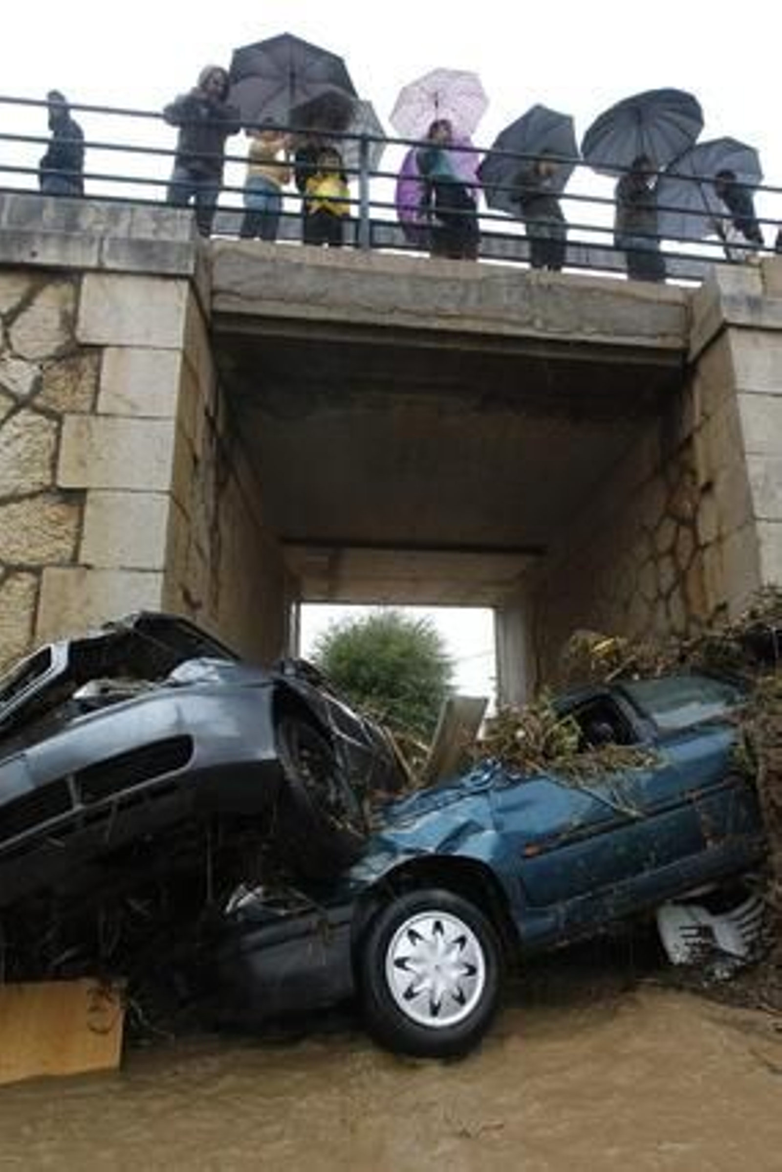 Imágenes de varios municipios afectados por las precipitaciones

Foto: J. Flores - EFE - Ayuntamiento de Cártama