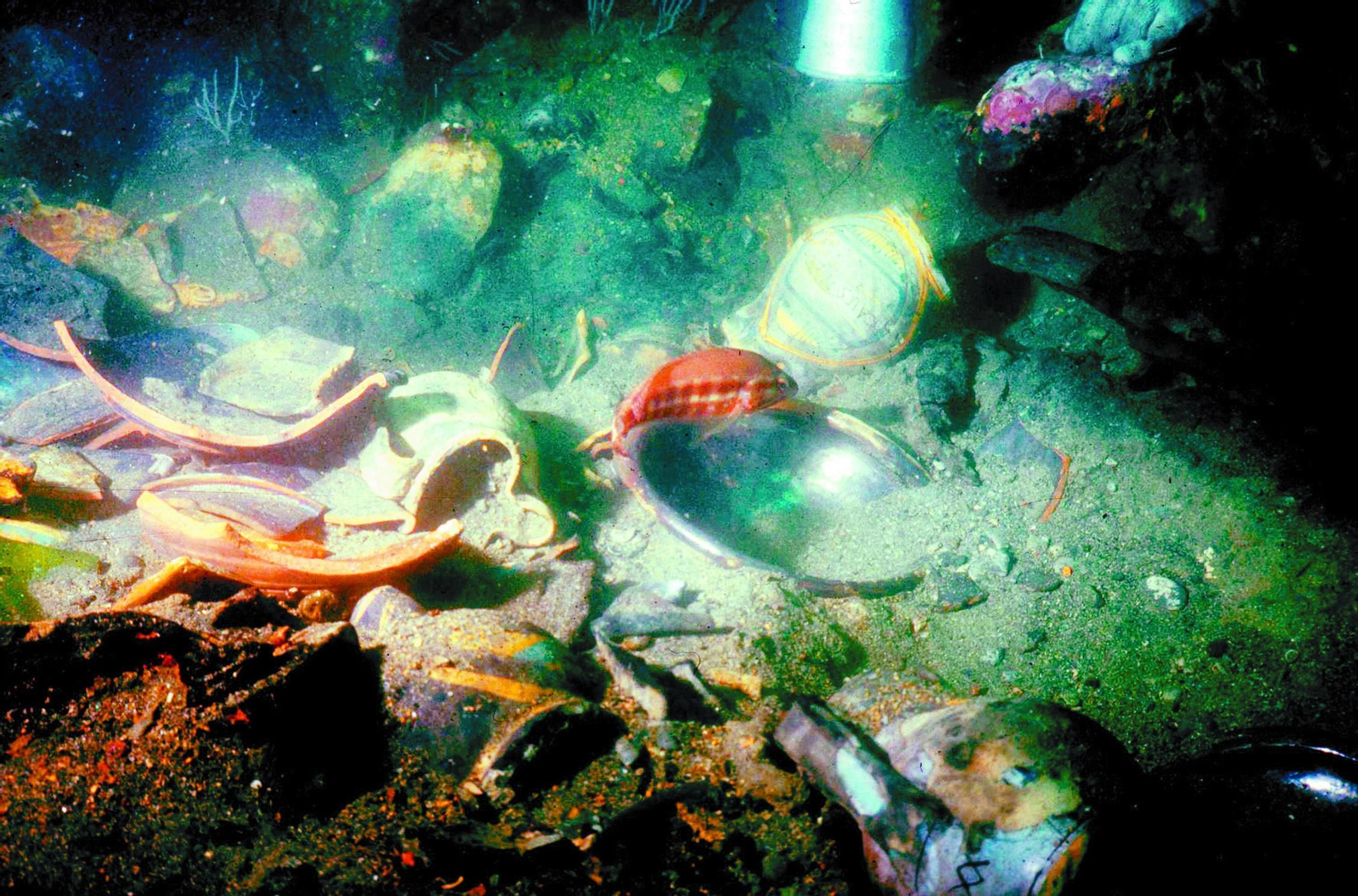 Restos del pecio de La Ballenera, situado en la ensenada de Getares.