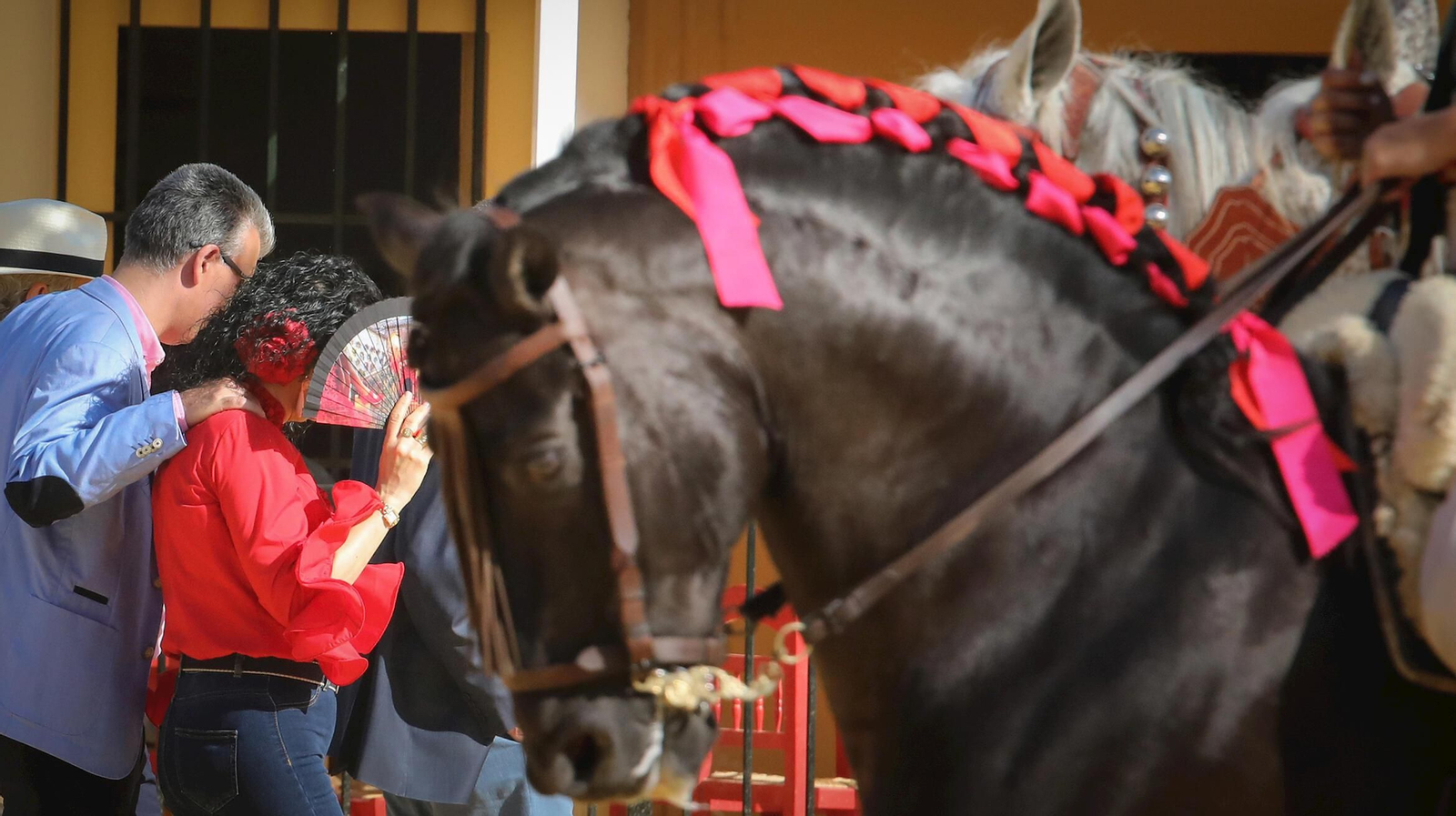 Feria de Jerez, las mejores imágenes de los días de fiesta en el real