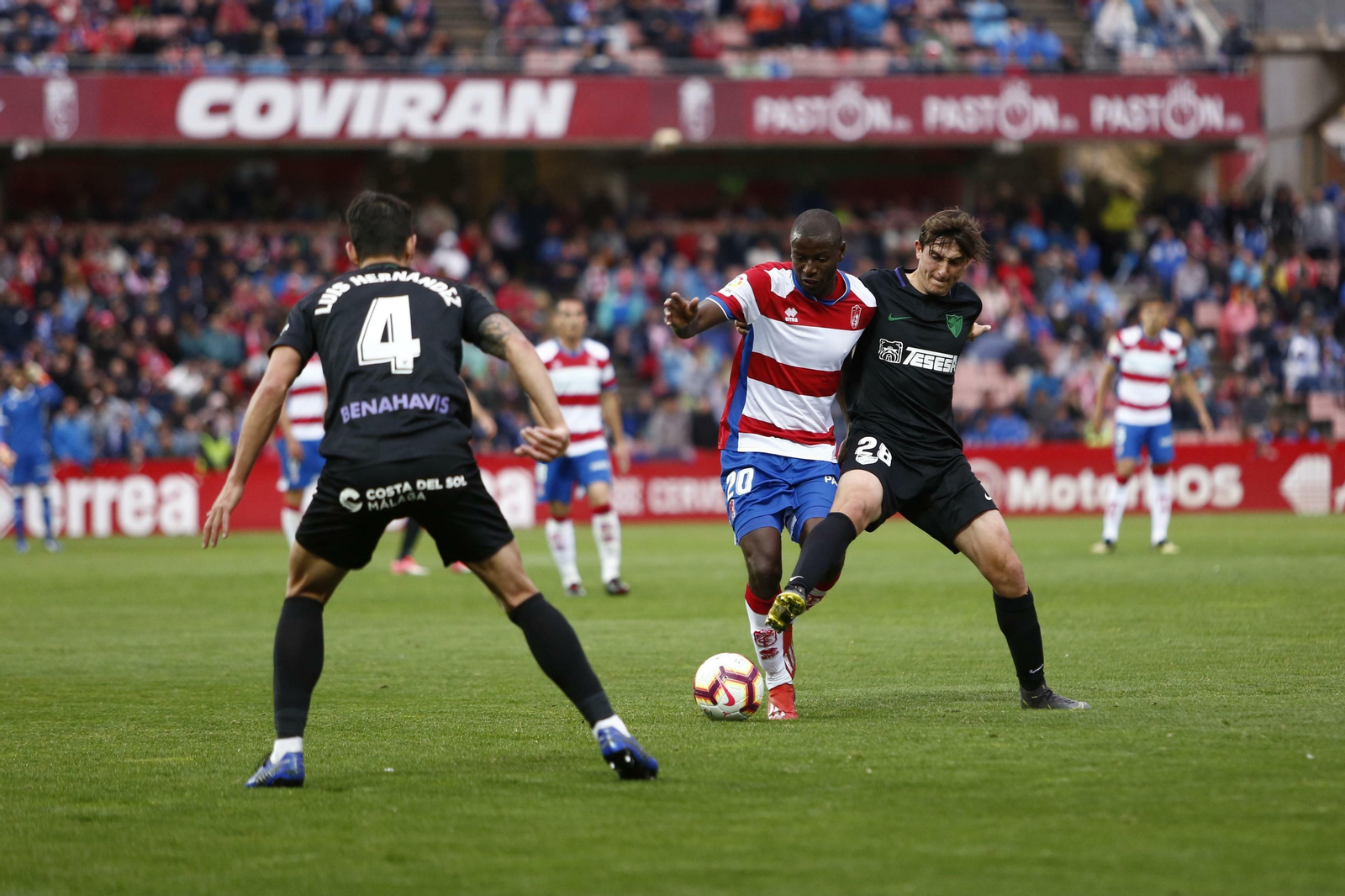 Las fotos del Granada-Málaga CF.