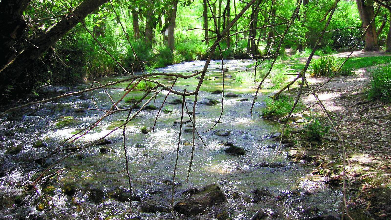 Uno de los tramos del camino junto al río Majaceite.