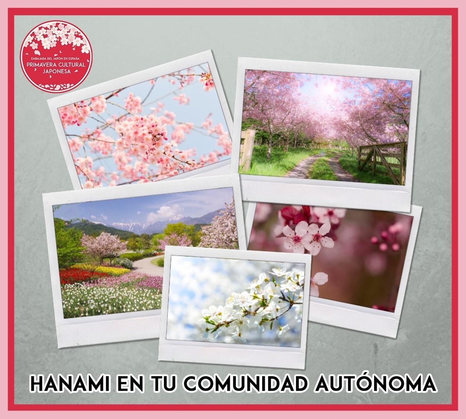 Primavera cultura japonesa.