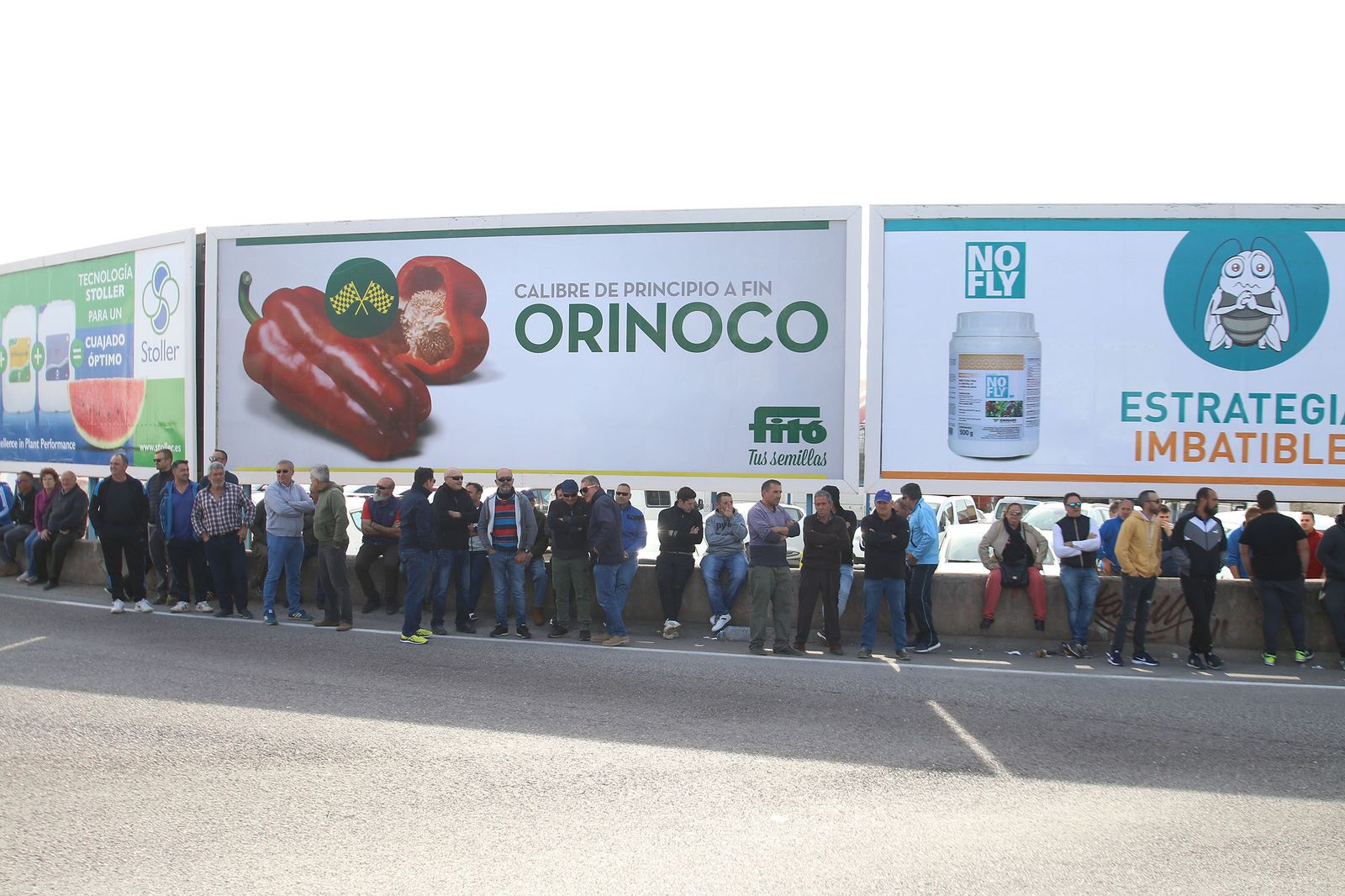 Las imágenes de la manifestación de agricultores