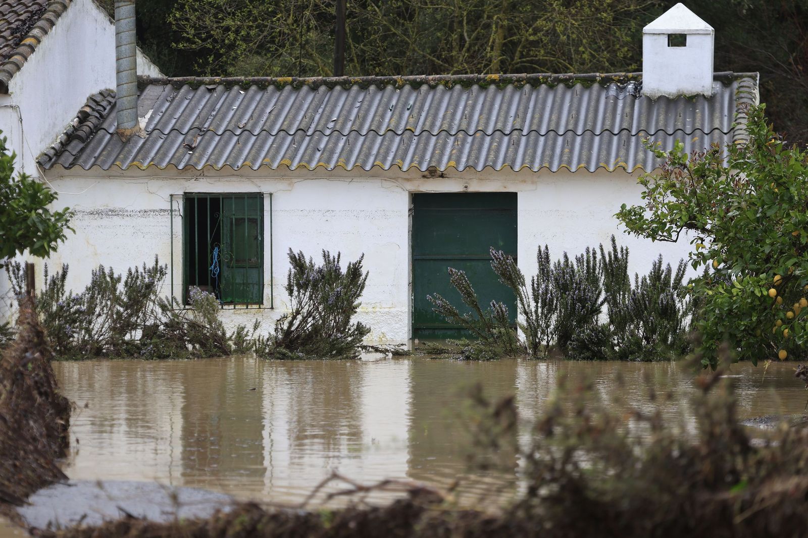 Fotos de las inundaciones y efectos de la borrasca Leonardo en Jimena y Tesorillo