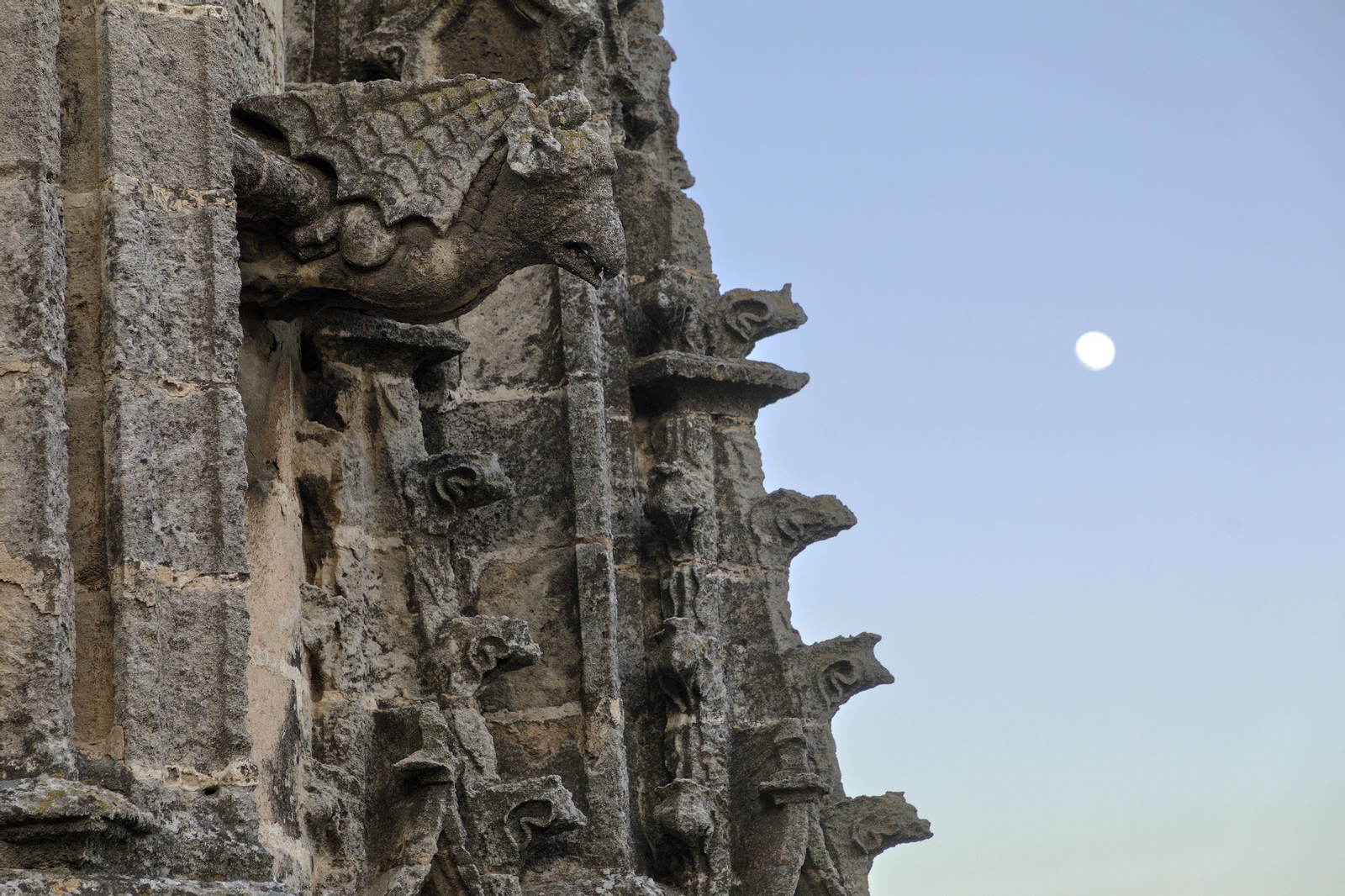 Recorrido de la visita por las cubiertas de la Catedral de Sevilla, al atardecer