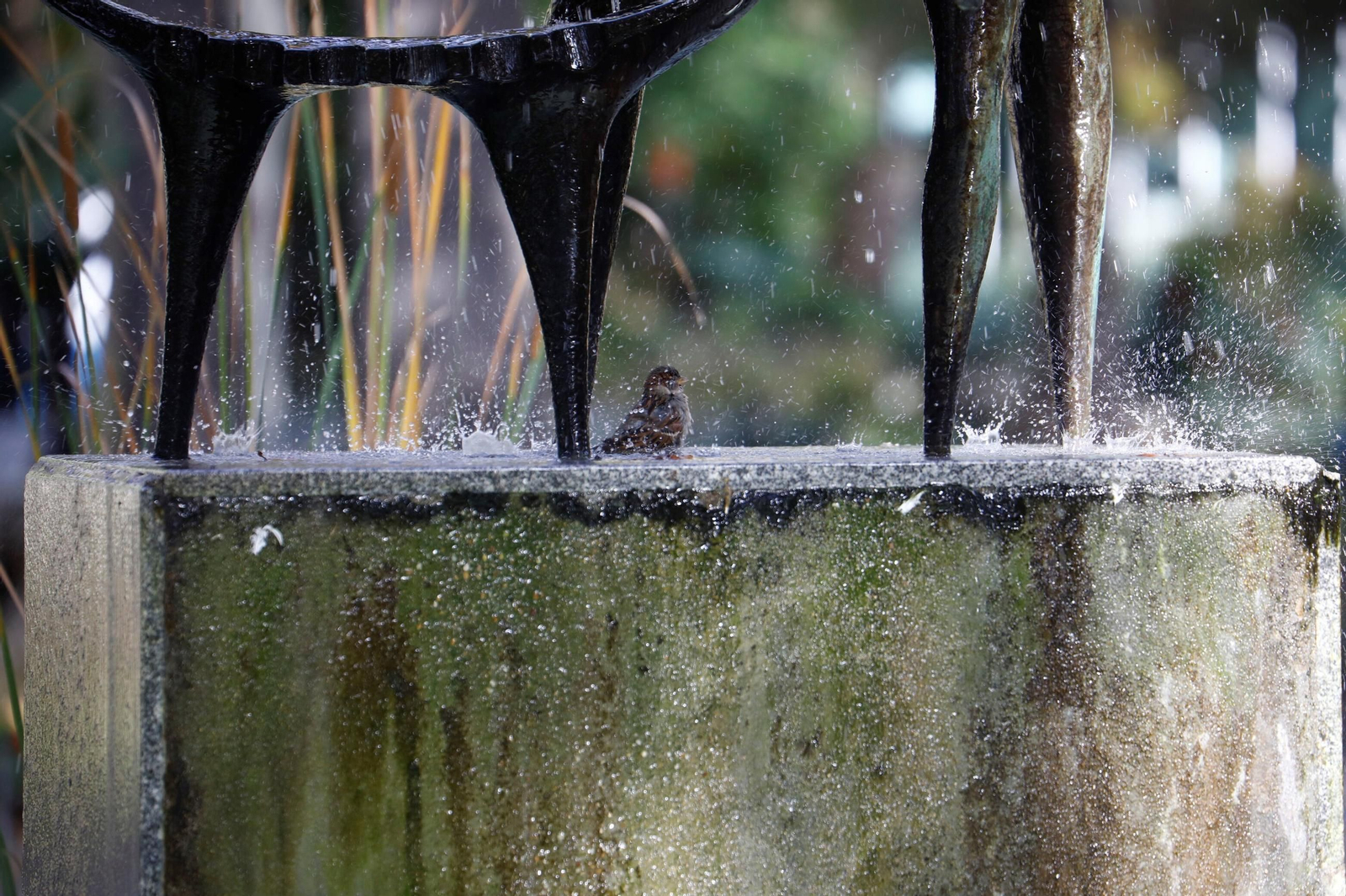 La belleza de los Jardines de la Agricultura de Córdoba, en imágenes