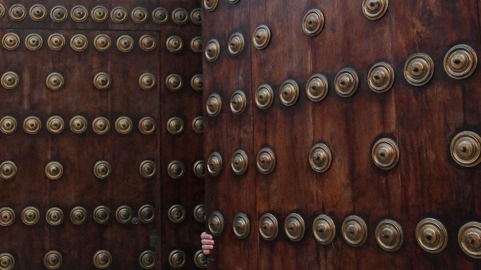 La mano que abre o cierra las puertas.