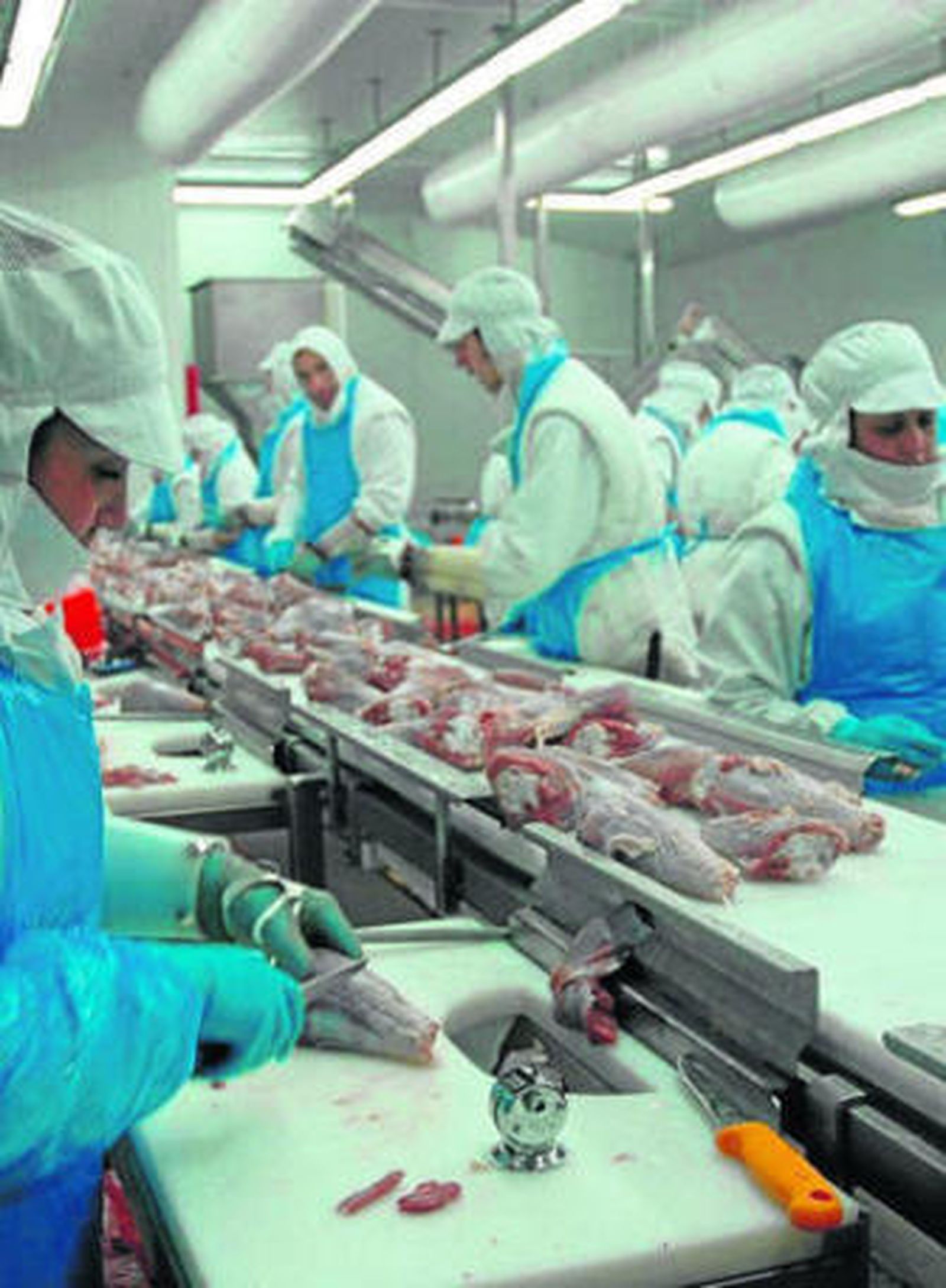 Operarias en la sala de despiece.