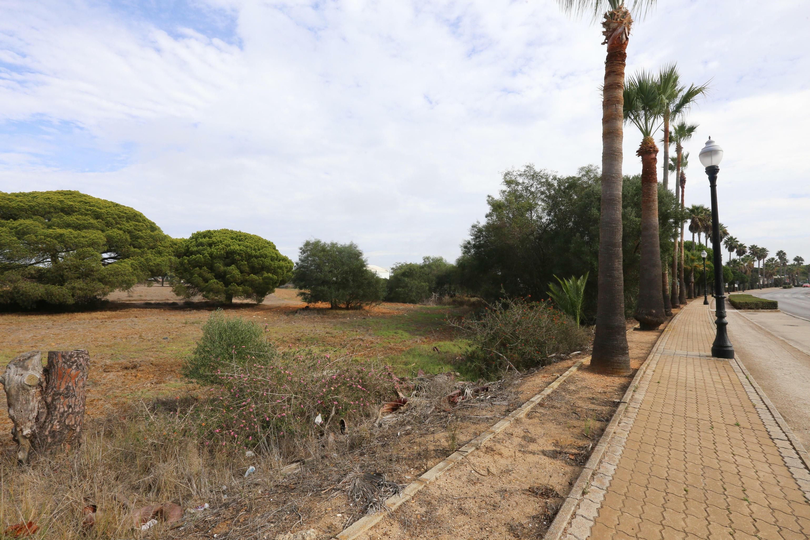 Parcela del Novo donde estaba prevista la construcción del nuevo colegio privado. Parcela del Novo donde estaba prevista la construcción del nuevo colegio privado.