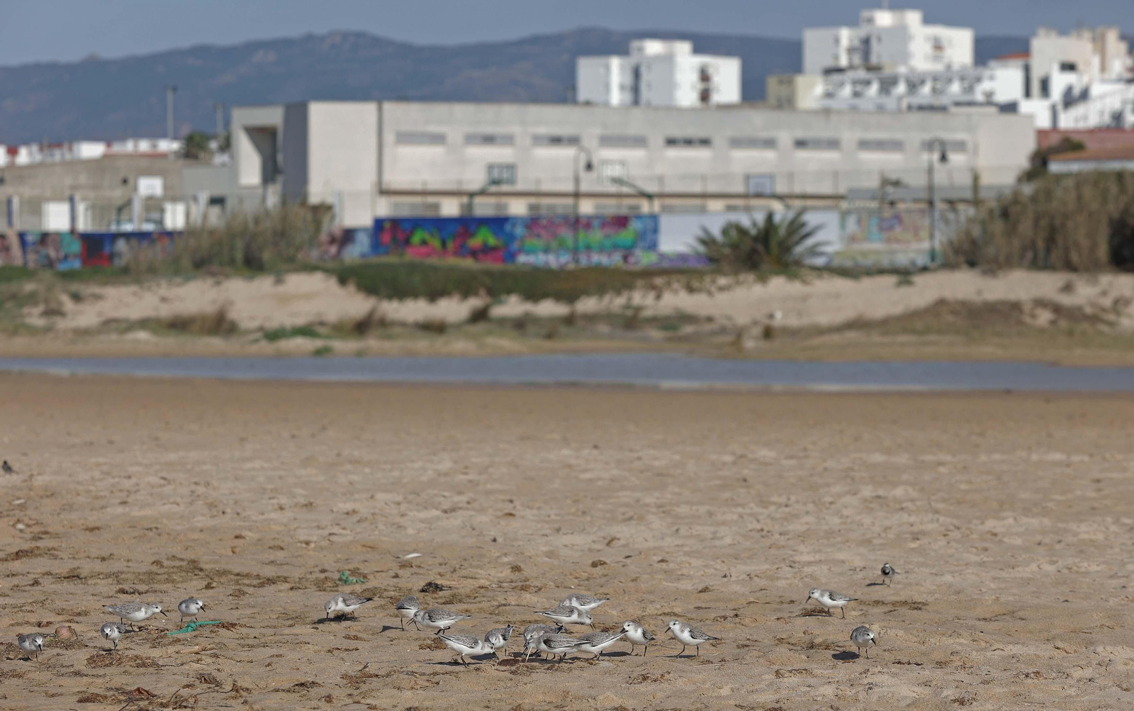 Fotos del vertido de pellets en las playas de Tarifa Fotos del vertido de pellets en las playas de Tarifa