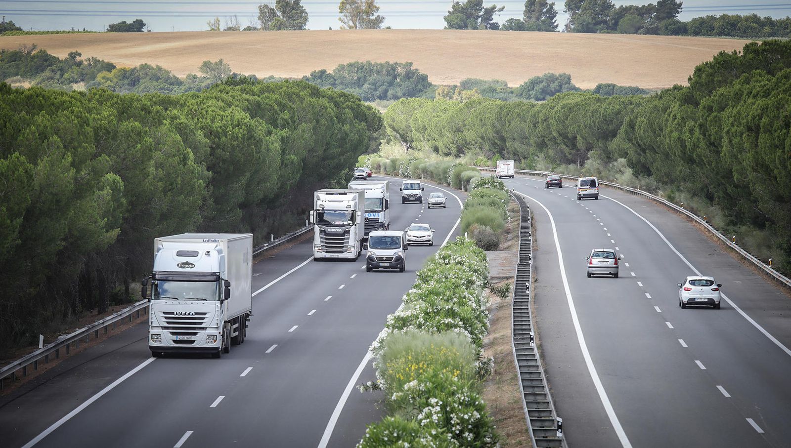 Coronavirus, imágenes del lunes 8 de junio en Jerez