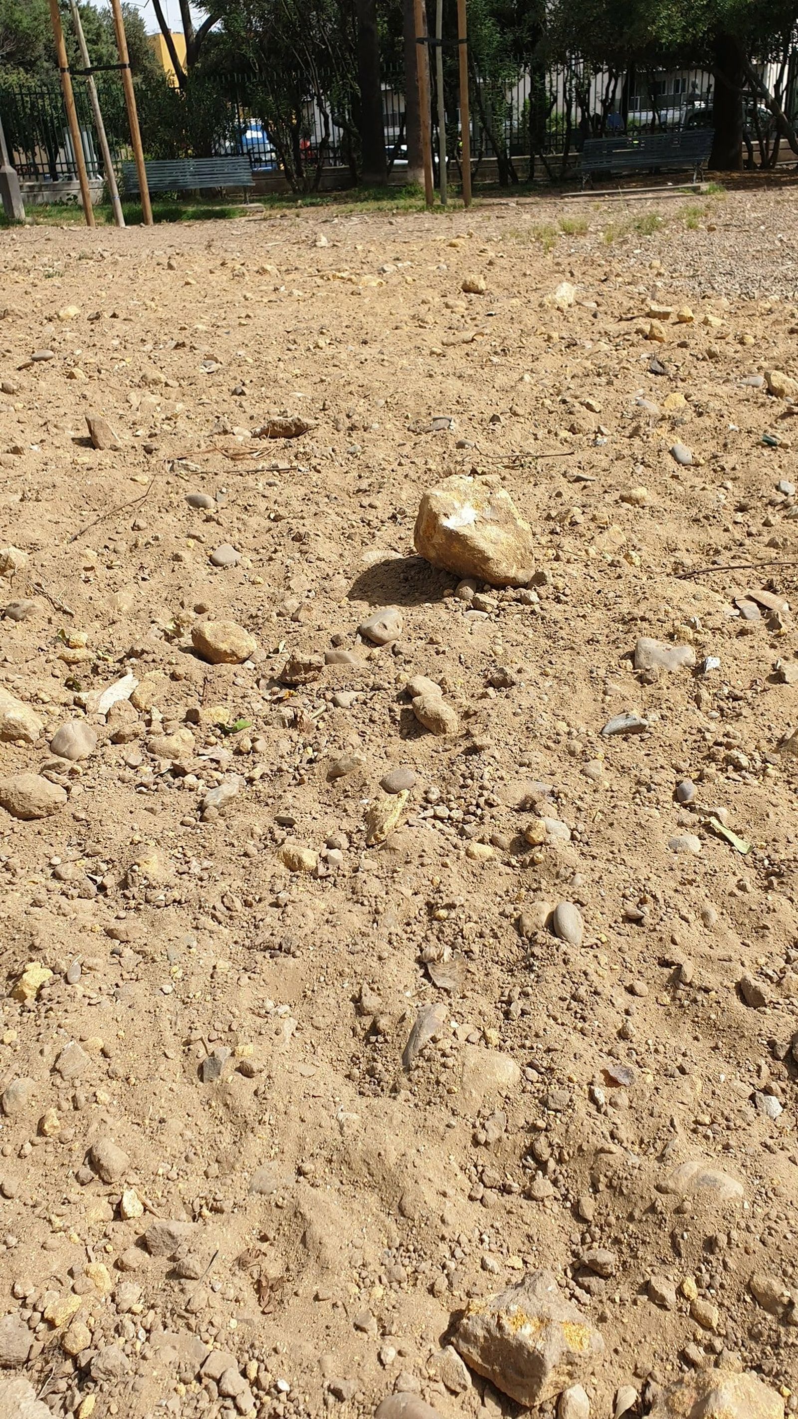 El pipicán del Parque de los Príncipes.