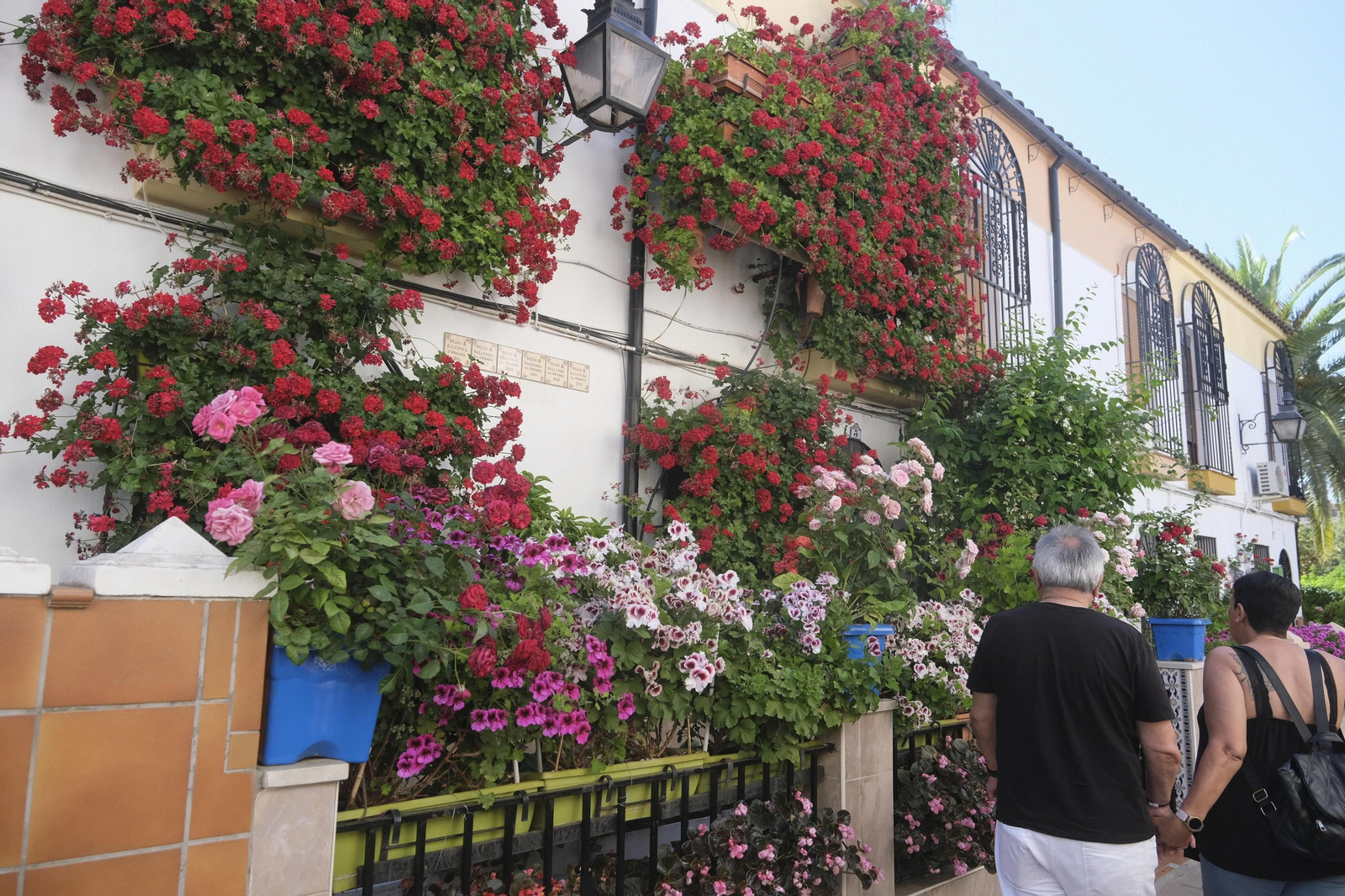 Manuel Soro Tinte, 3  ganadora del Concurso de Rejas y Balcones de Córdoba.