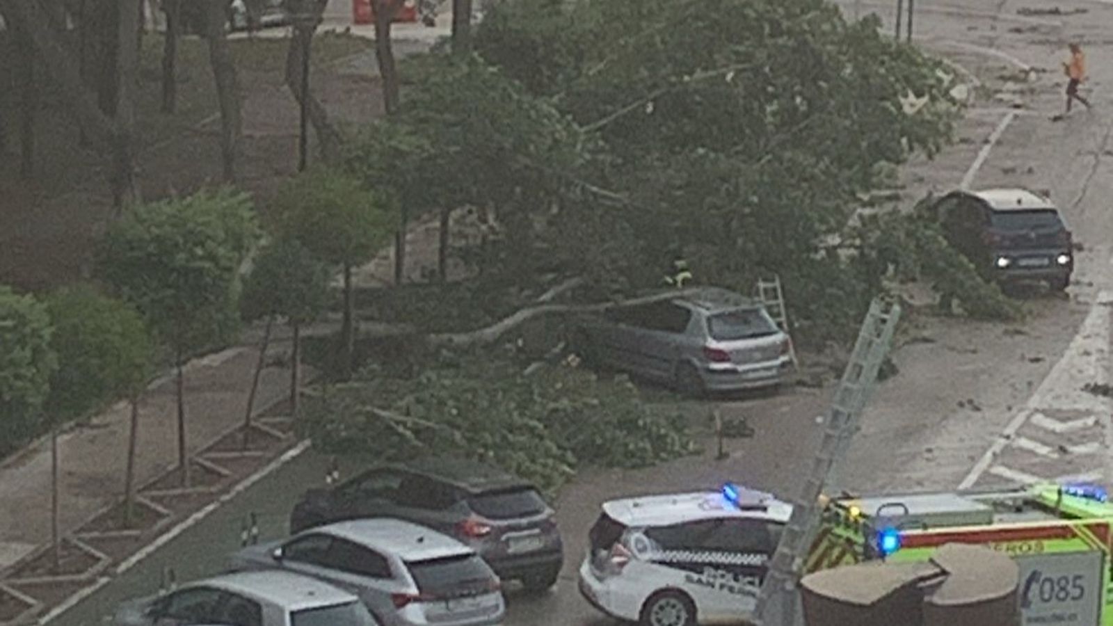 Caída de varios árboles en el parque Almirante Laulhé, en San Fernando.