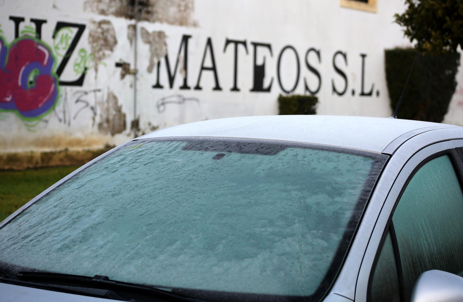 Ola de frío:Imágenes de la helada en Jerez