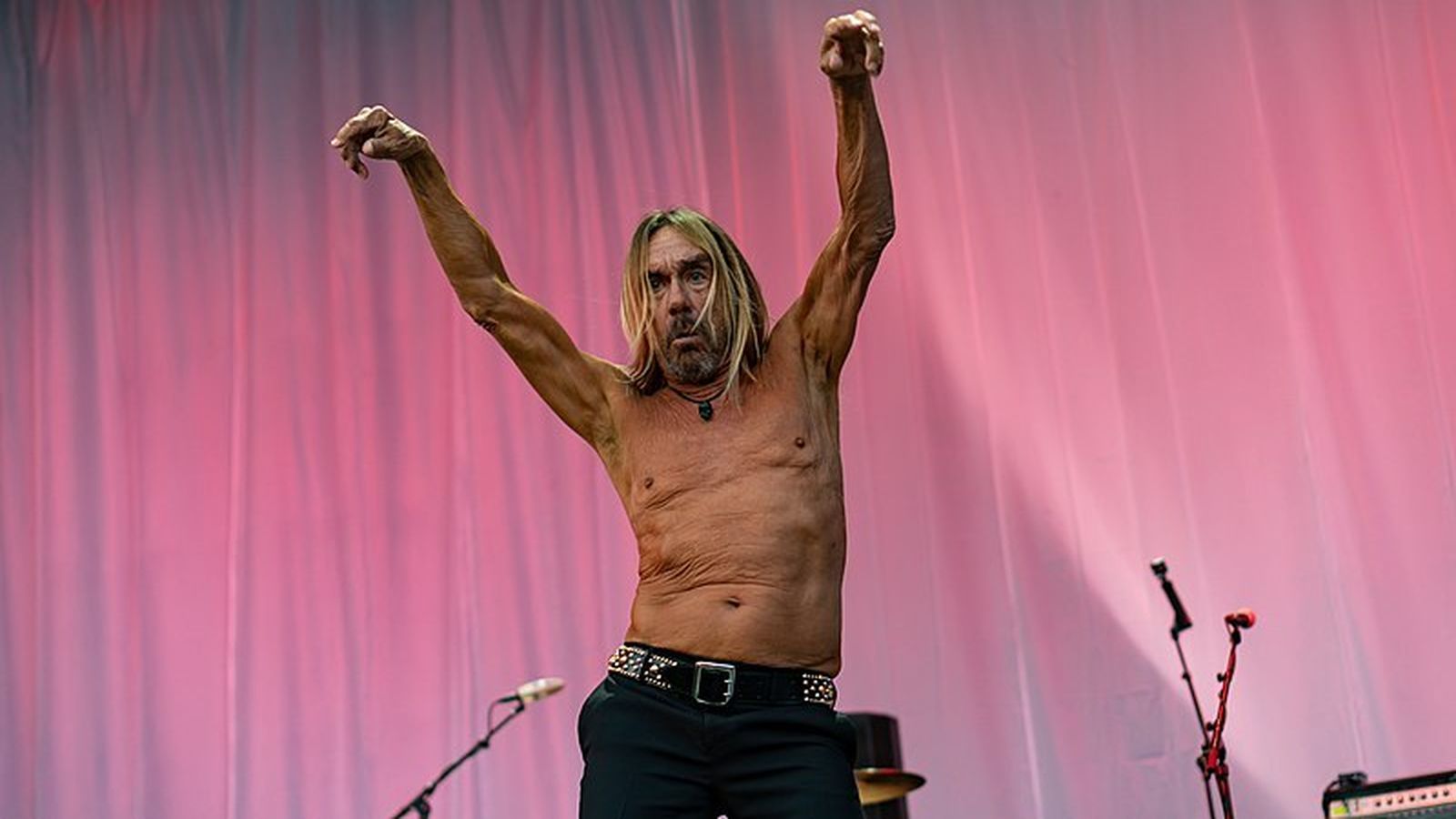 Iggy Pop, el padrino del punk