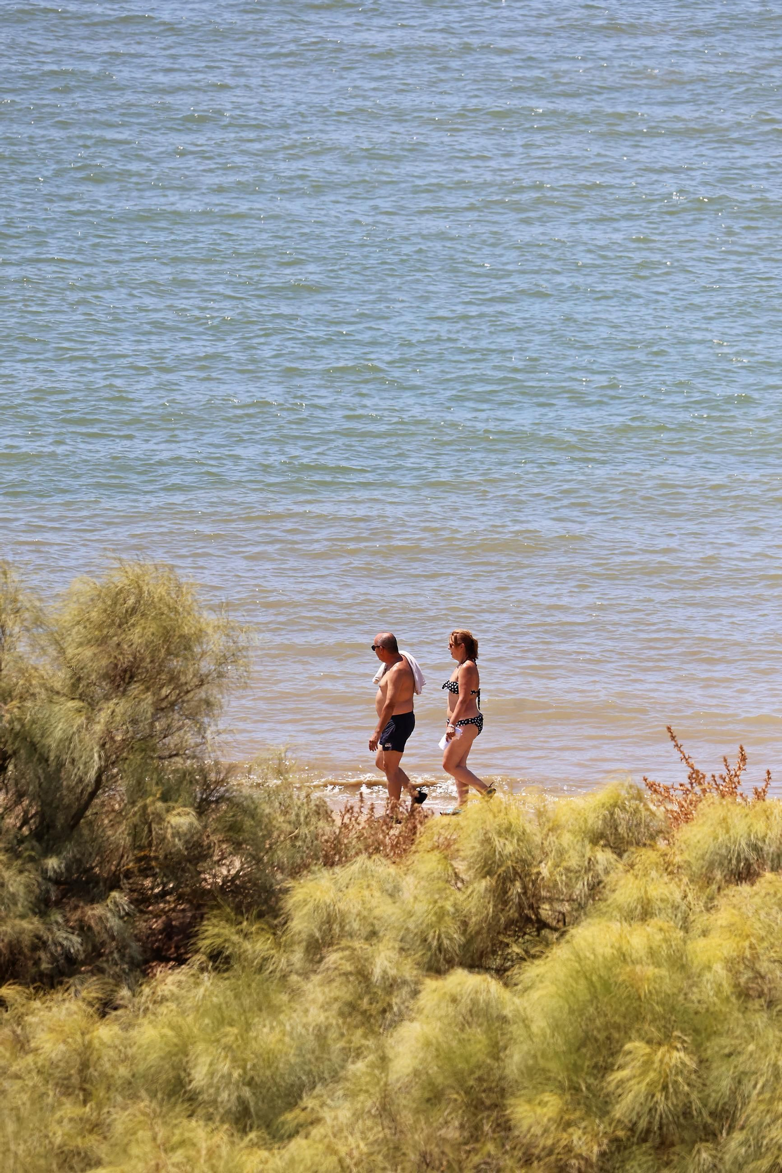 Las espectaculares vistas de la Flecha del Rompido desde el mirador de Nuevo Portil