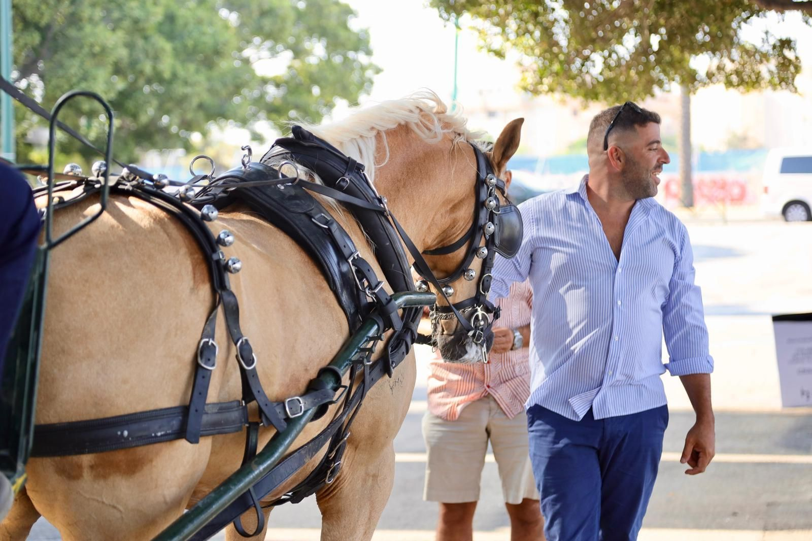Los trajes tradicionales de la Feria de Málaga, en fotos