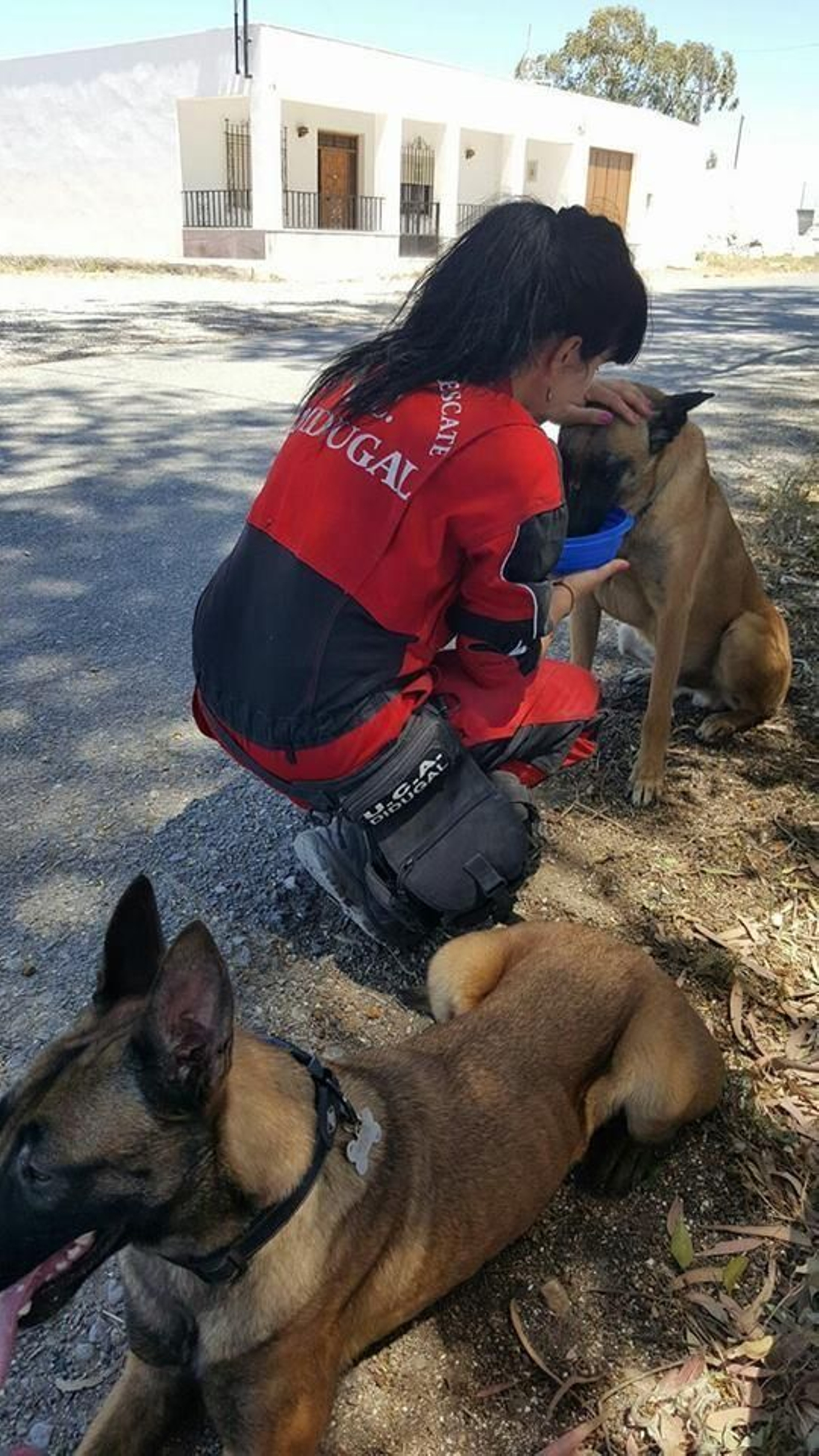 1. María Dolores Rubio junto a dos de los perros de la unidad Canina de Olula del Río. 2. Foto de grupo de los miembros de DIDUGAL durante un simulacro en un pueblo abandonado. 3.  Otro de los miembros de DIDUGAL enseña a un perro en dicho simulacro. 4. Dos profesionales con uno de los perros en acción para seguir formándolos 5. Alumnos de María Dolores Rubio en uno de los talleres que imparte. 6. Otro momento del simulacro de la Unidad Canina. 7. La profesional junto a un compañero y perros.