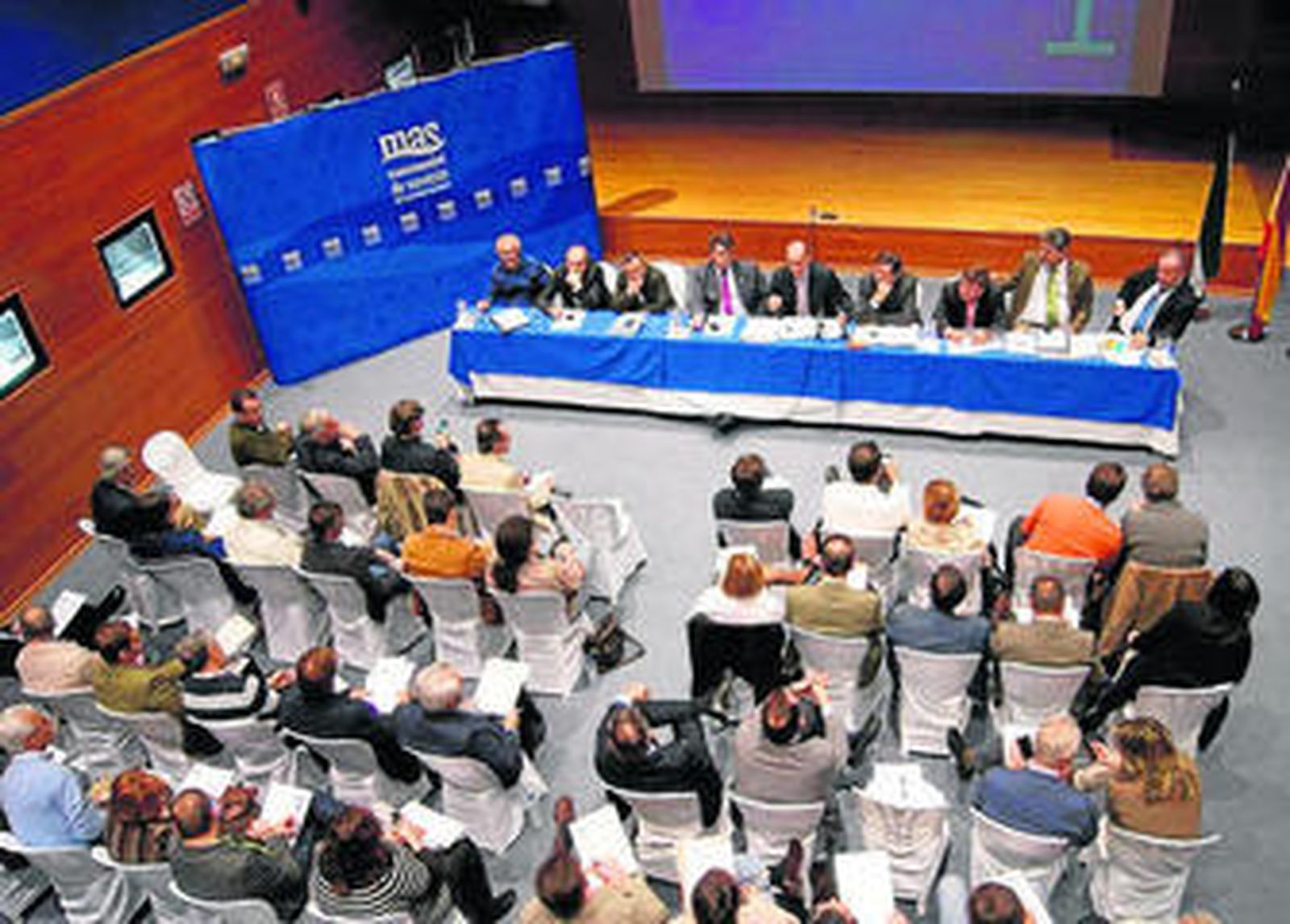 Pleno de la Mancomunidad de Servicios de la Provincia celebrado el pasado día 13 en Aljaraque.