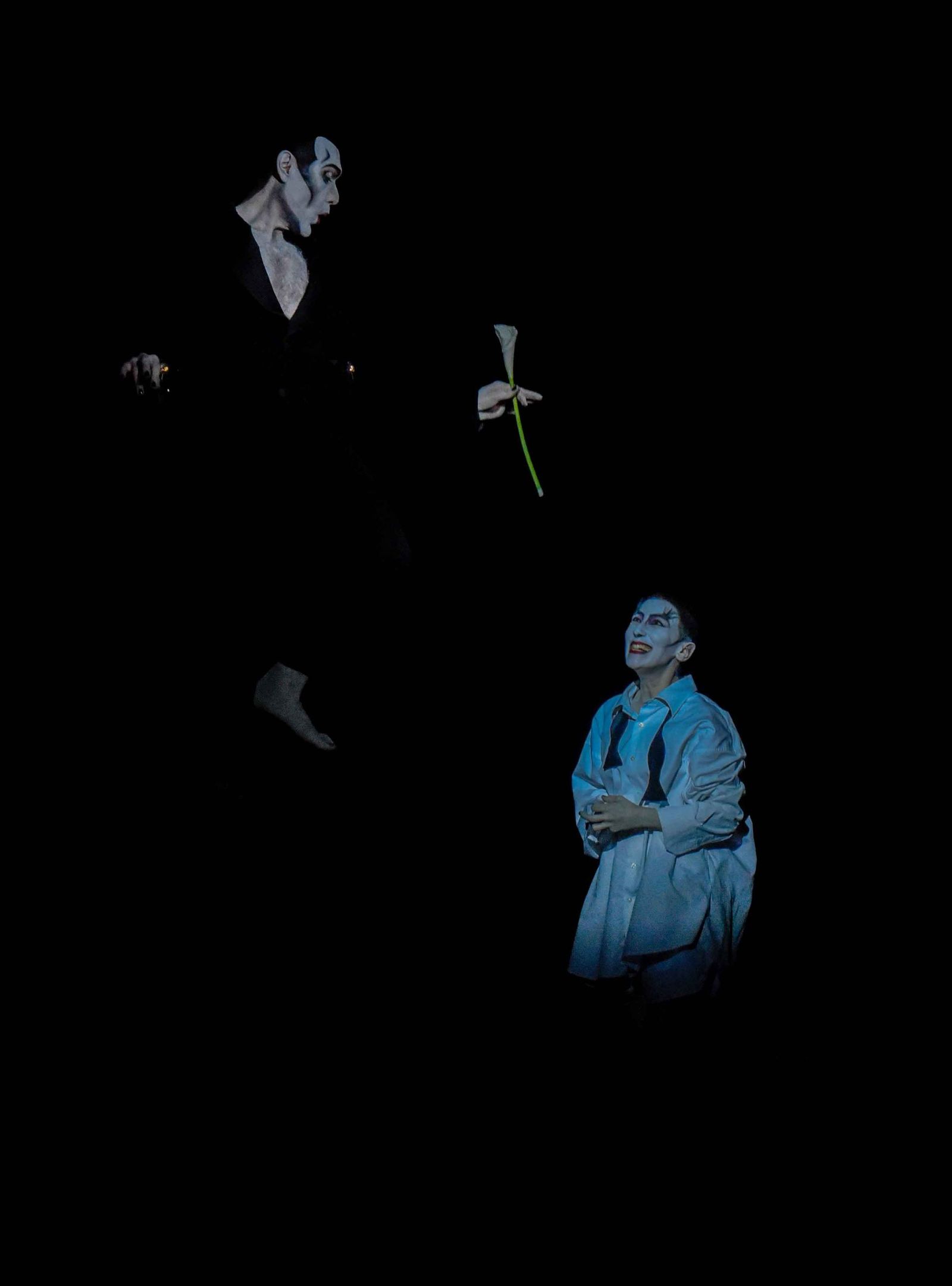 El sueño de una noche de verano