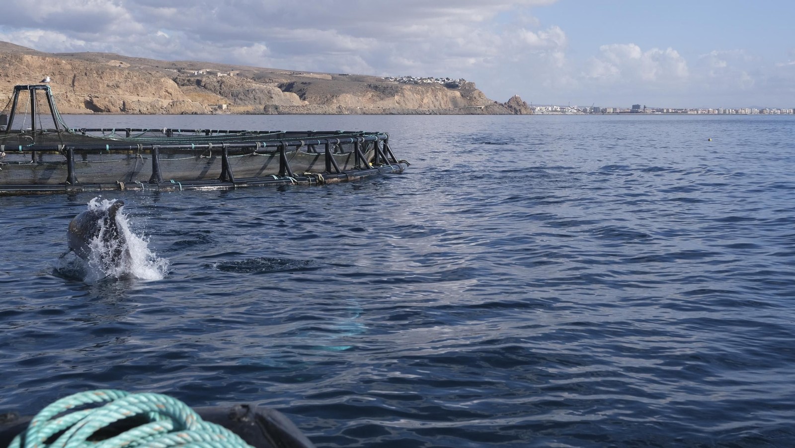 La piscifactoría de El Cañarete, en imágenes