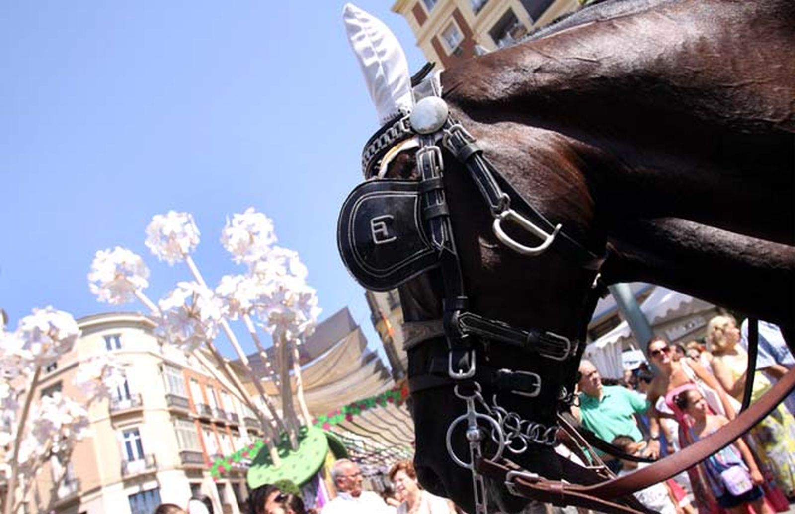 Los caballos fueron sin duda los más aclamados en esta marcha, en la que también ellos lucieron sus mejores galas.
FOTO: Migue Fernández
