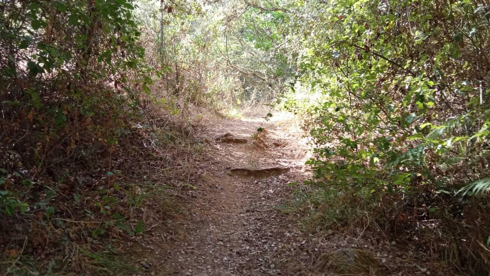 Ruta del Molino del Corcho