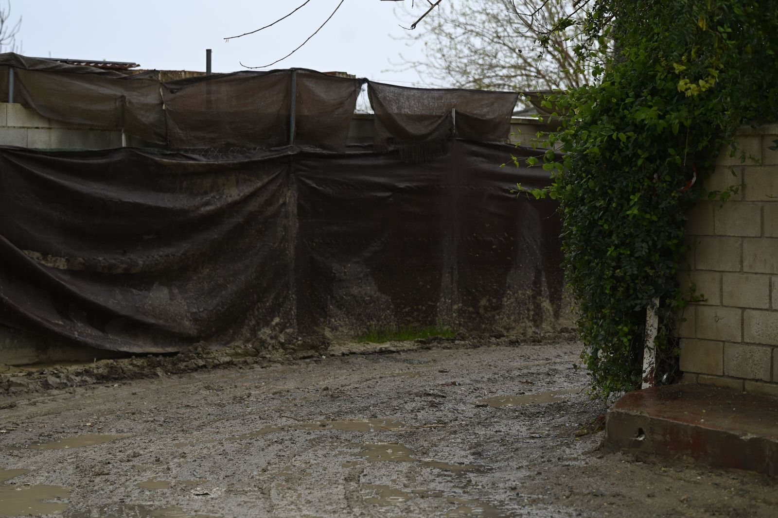 Parcelas de Guadalvalle siguen anegadas por el barro un mes después de las inundaciones