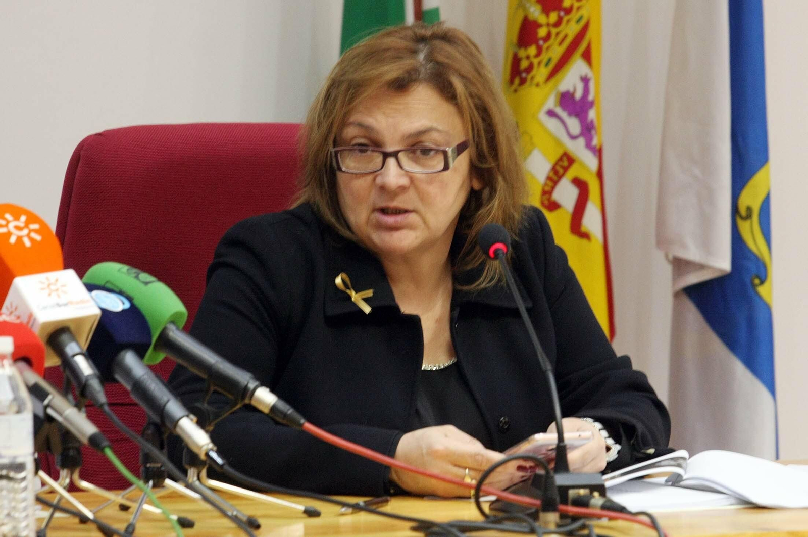 Paloma Hergueta en una comparecencia como presidenta de la plataforma 'Huelva por una sanidad digna'.