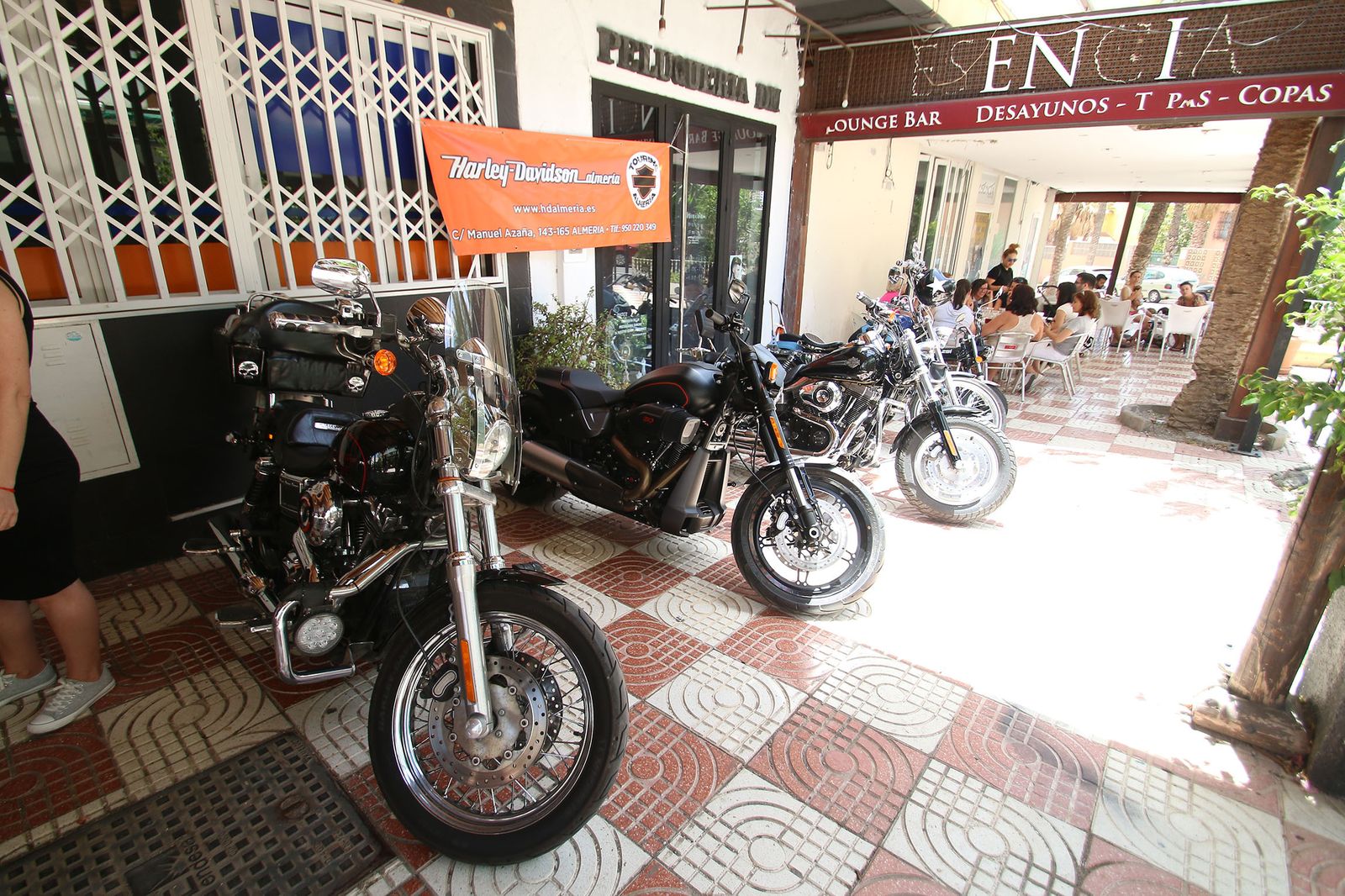 Fotogalería de la Fiesta de la Cerveza del Cortijo Alemán