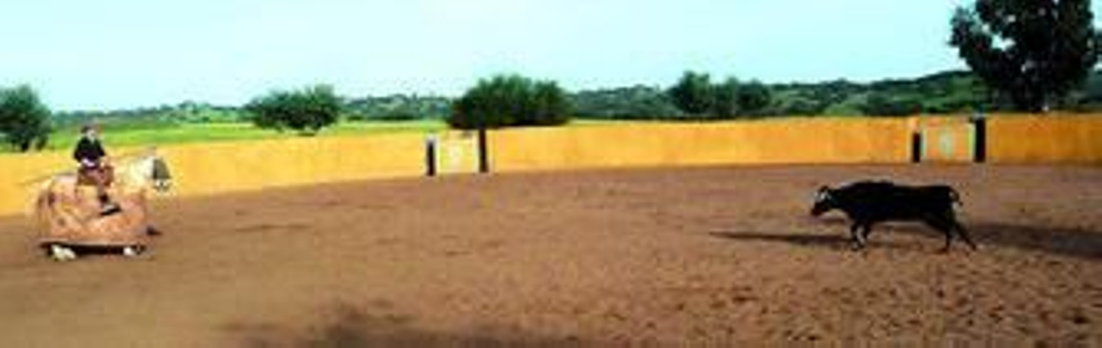 1. Una becerra, pura Torrestrella, arrancándose de largo en la placita de la ganadería de Condesa de Sobral. 2. El caserío de la cuidada finca 'Herdade dos Montezes', cuyo largo  corredero es lugar de cita de los mejores garrochistas jerezanos. 3. Daniel Luque, en pleno tentadero. 4. Un añojito con mucho futuro detrás de su mirada. La señal de la casa es orejisana. 5. Los ganaderos Alfredo Erquicia Guardiola y Álvaro Domecq Romero, atentos al juego de las eralas. fotos: Orgambides