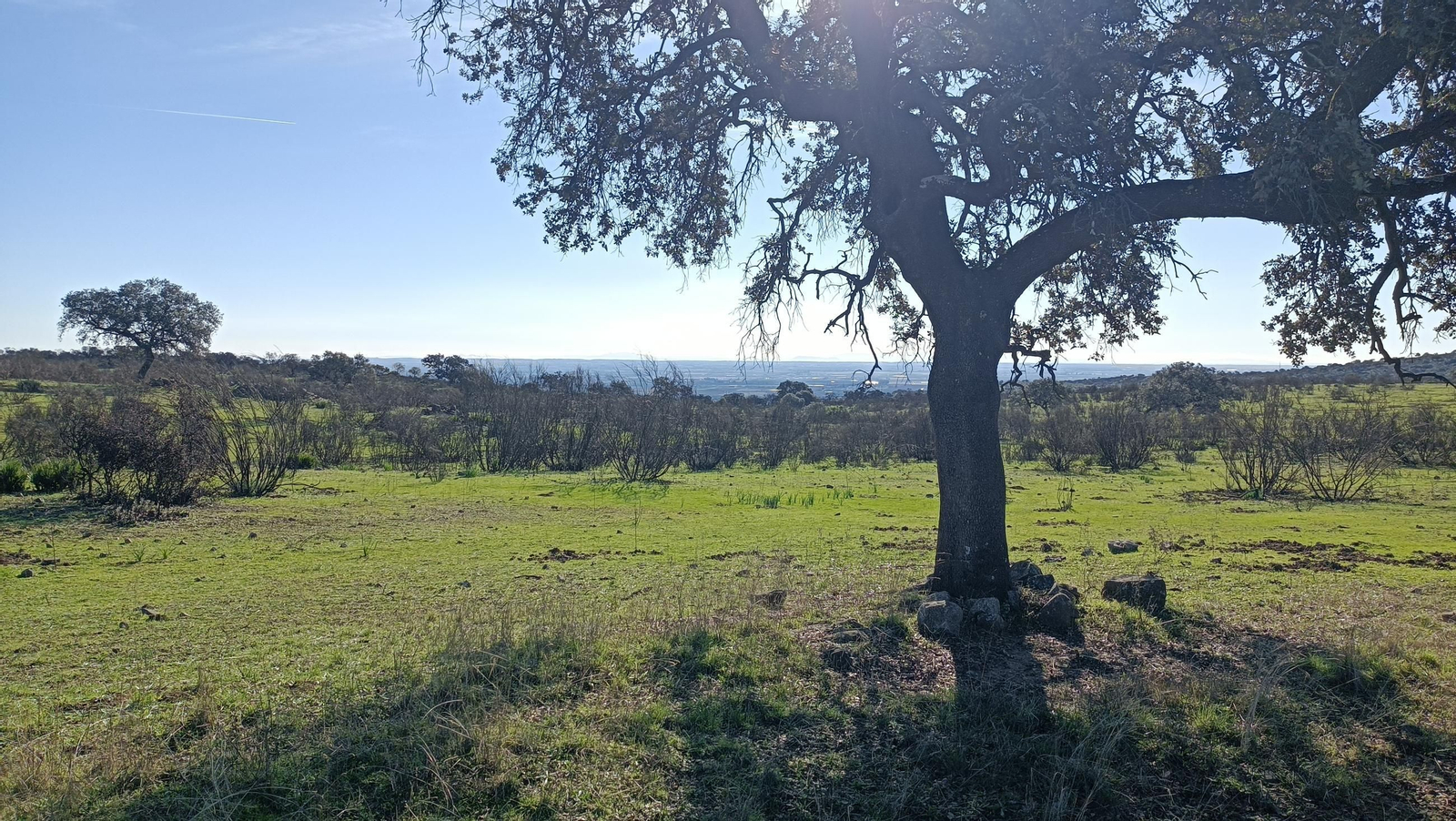 El paraje ofrece unas vistas espectaculares que dominan el valle del Guadalquivir y que, en días claros, permiten ver hasta el perfil de la sierra de Cádiz.