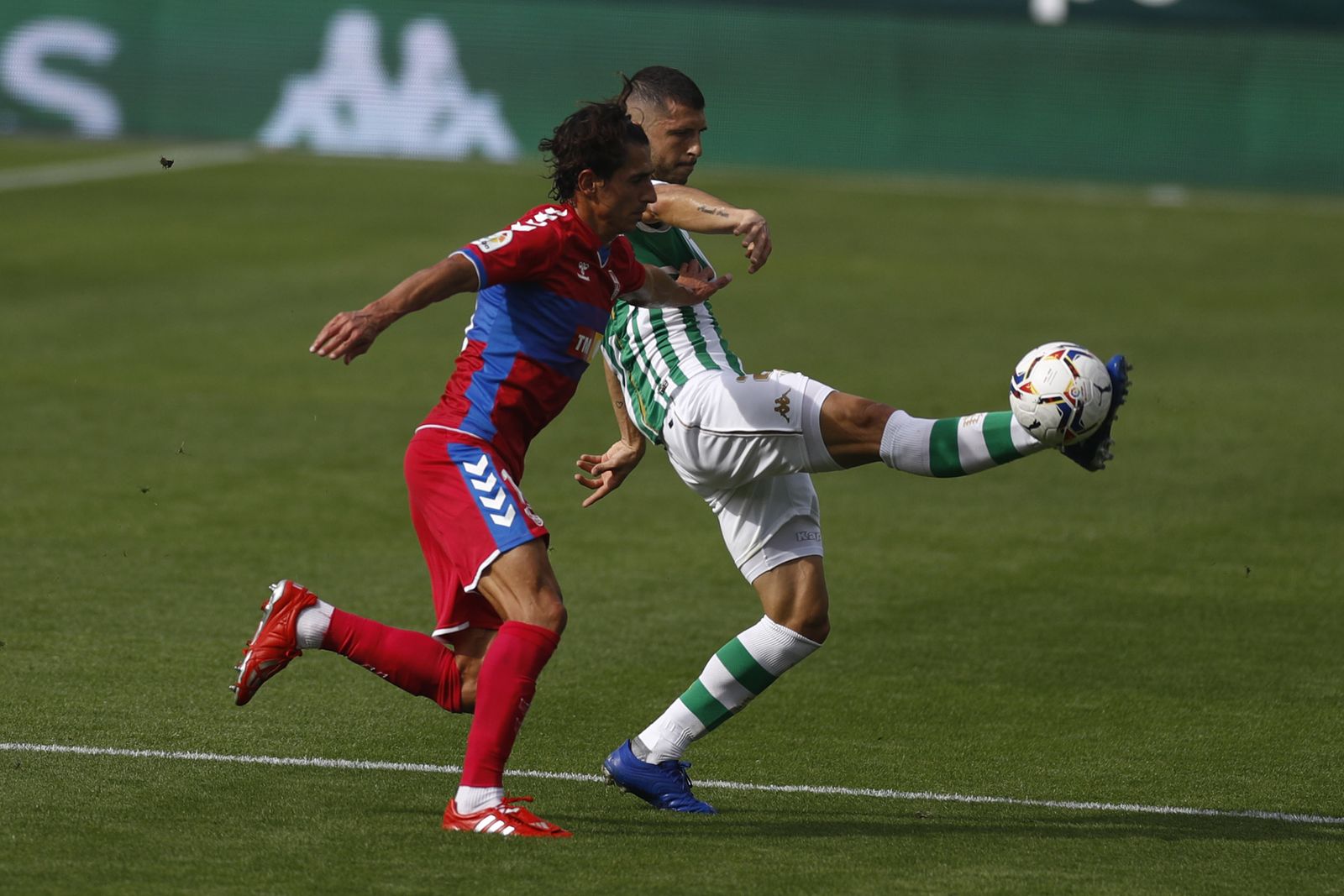 Las imágenes del Betis-Elche