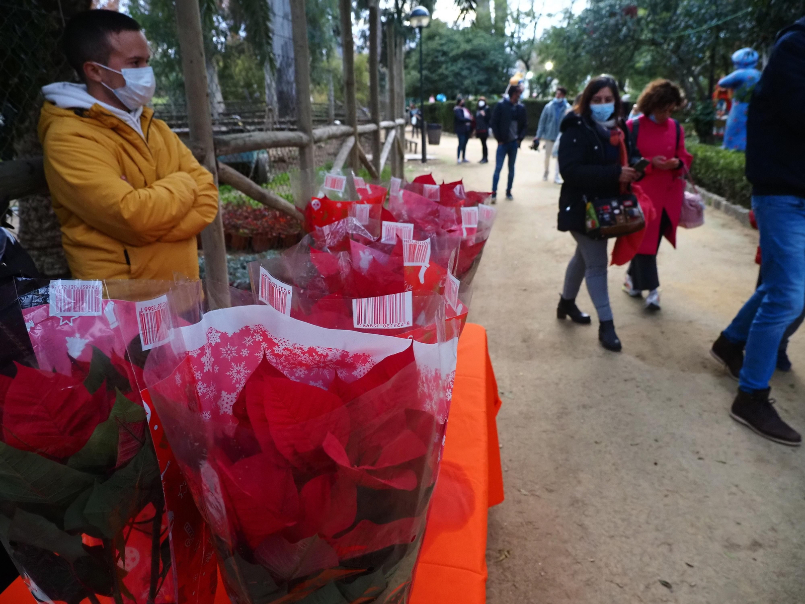 Bienvenido al Parque de los Sueños en Ayamonte