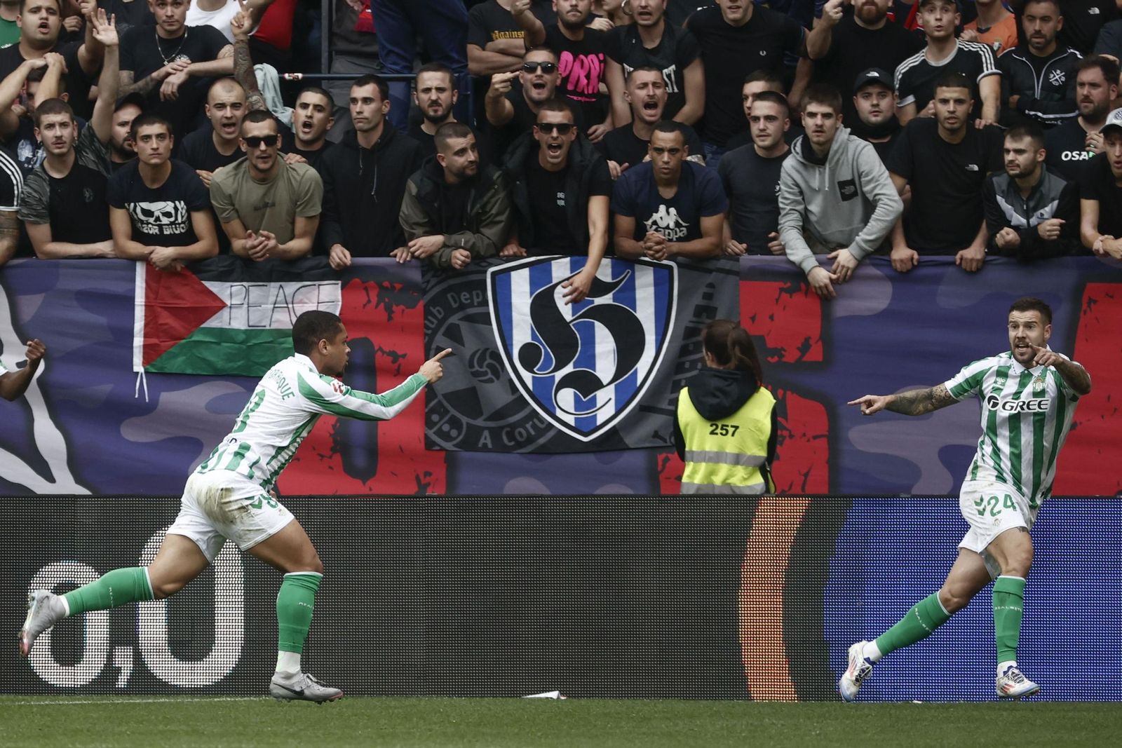 Las fotos del Osasuna - Betis