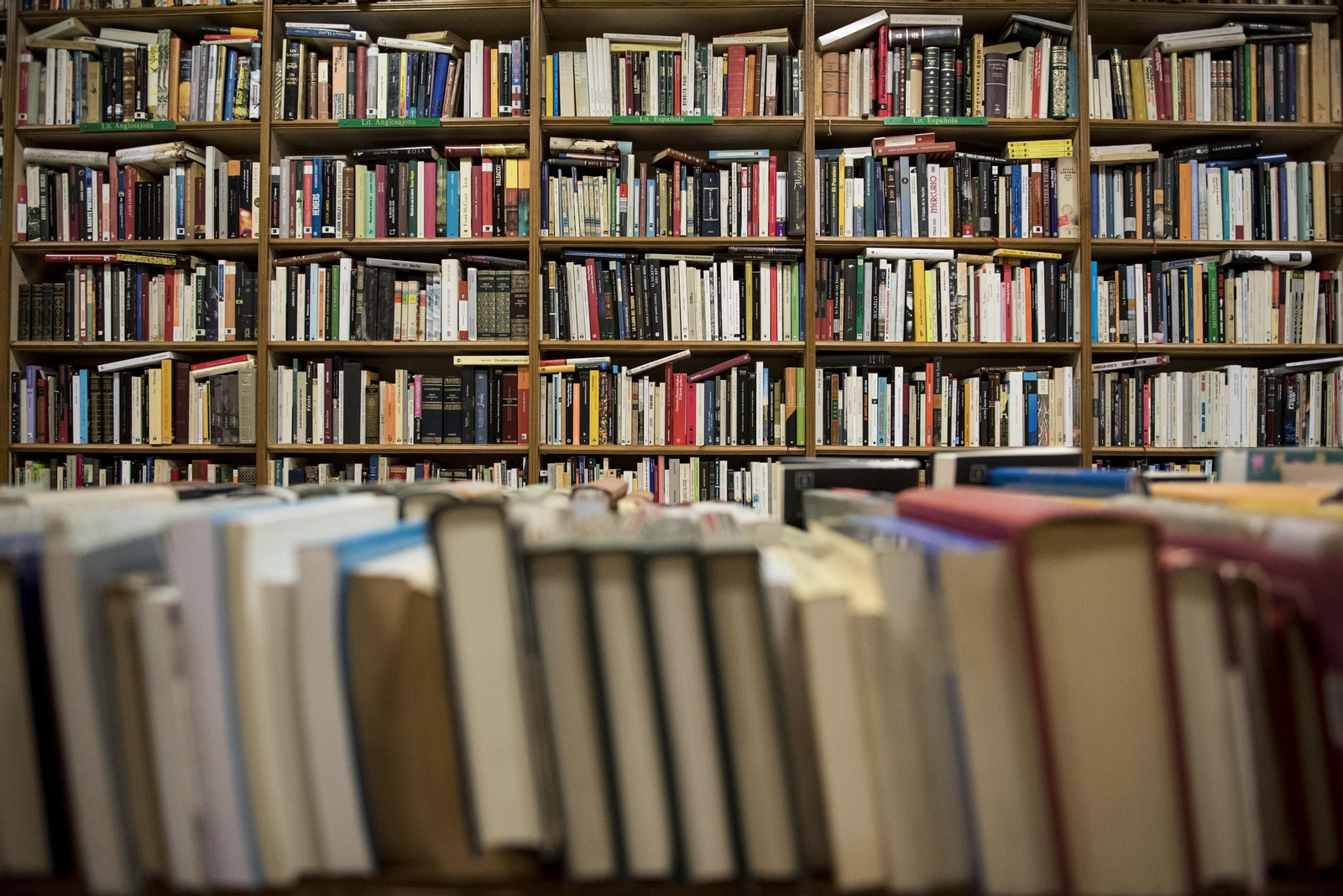No sólo los libros que salieron en marzo han perdido su oportunidad: muchos otros han quedado aparcados. No sólo los libros que salieron en marzo han perdido su oportunidad: muchos otros han quedado aparcados.