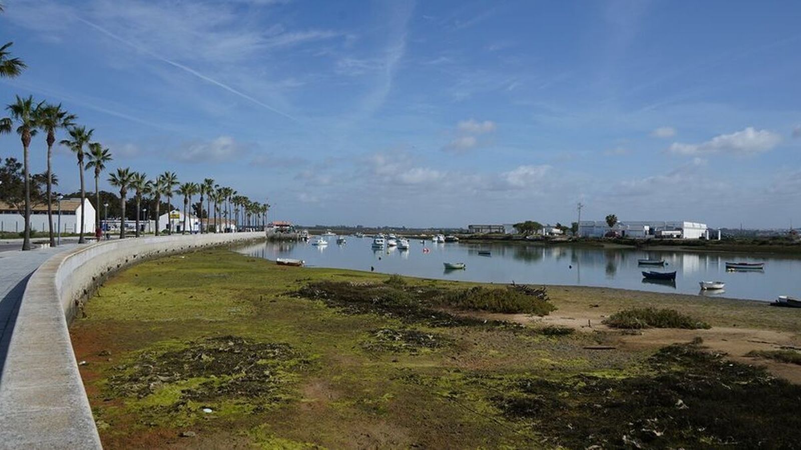 Una visita obligada - Sancti Petri