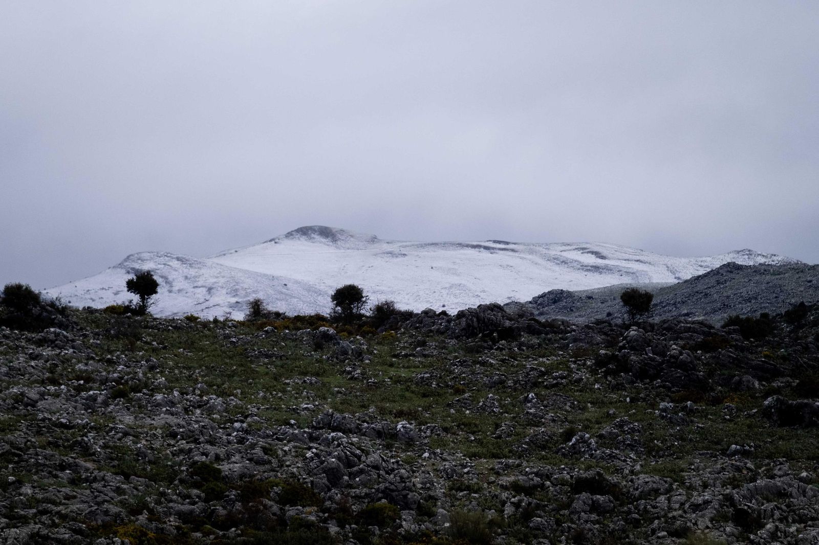 El Parque Nacional Sierra de las Nieves se viste de blanco, en imágenes