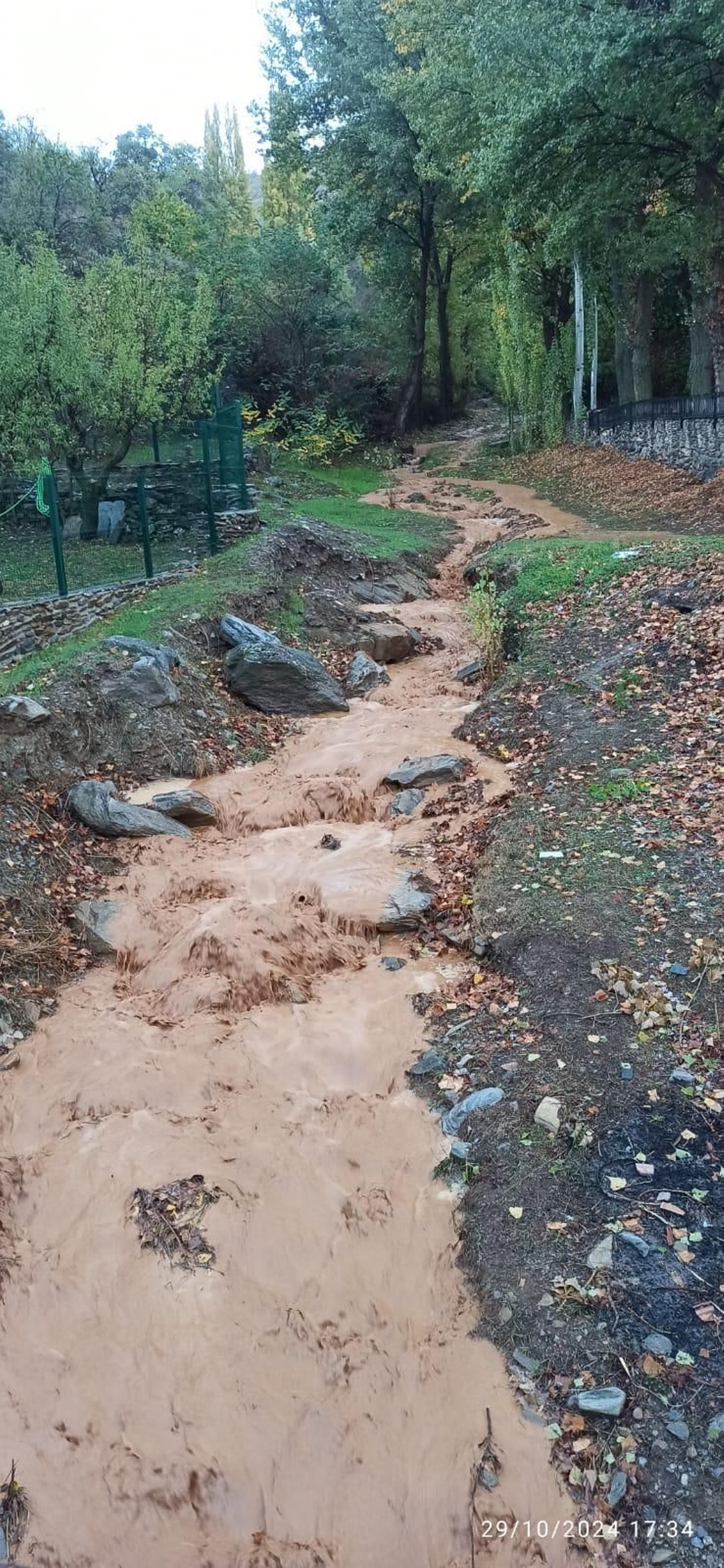 Conoce a los 27 vecinos nuevos que han llegado a vivir a Bacares este otoño