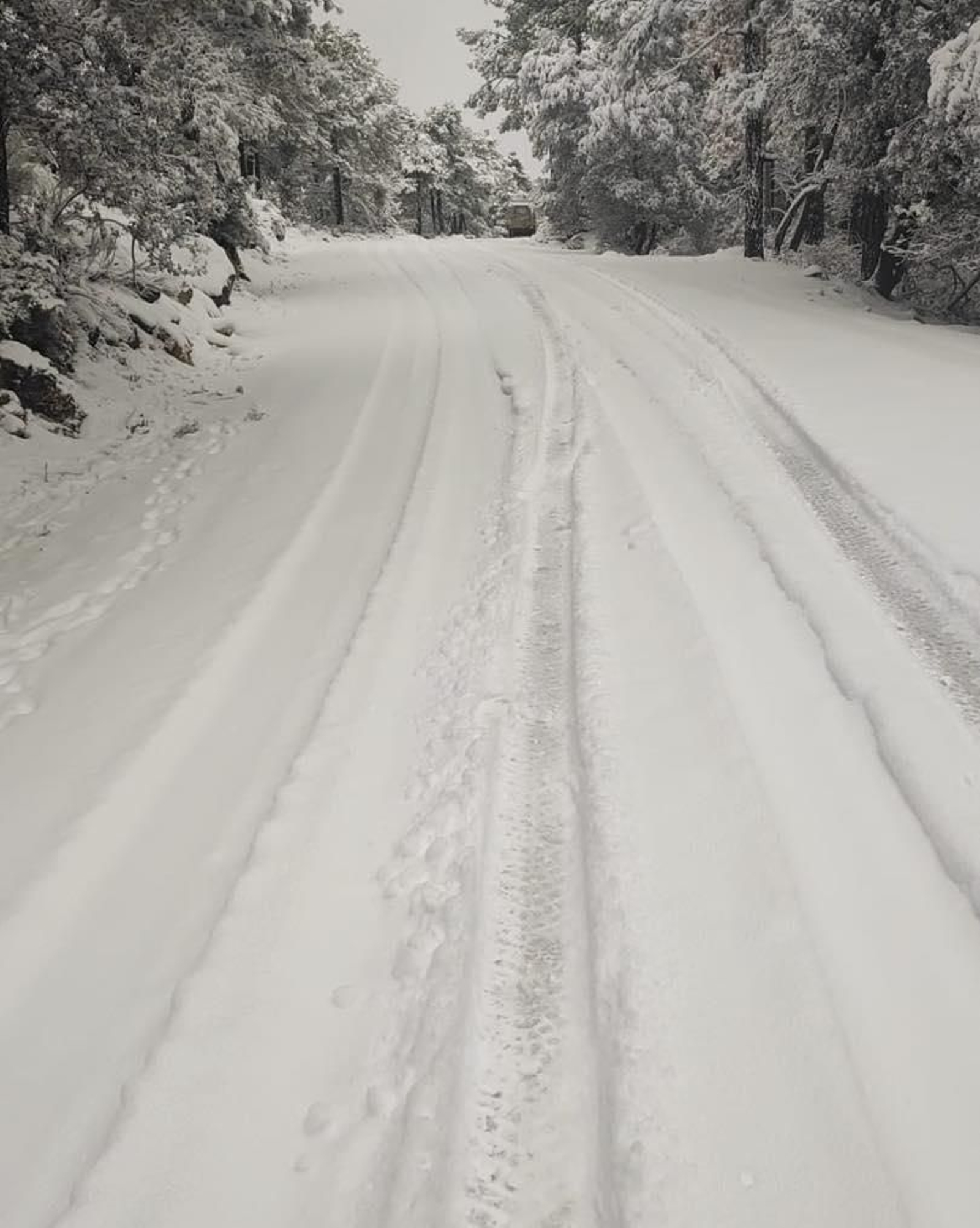 La nieve llega hasta las zonas más altas de la sierra jiennense, en imágenes