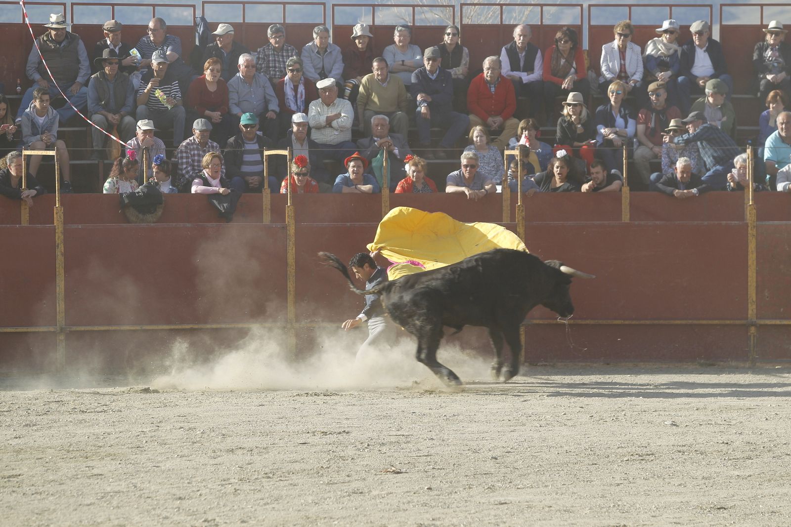 Fotogalería Festival Taurino Mixto. Fiestas de Abrucena.