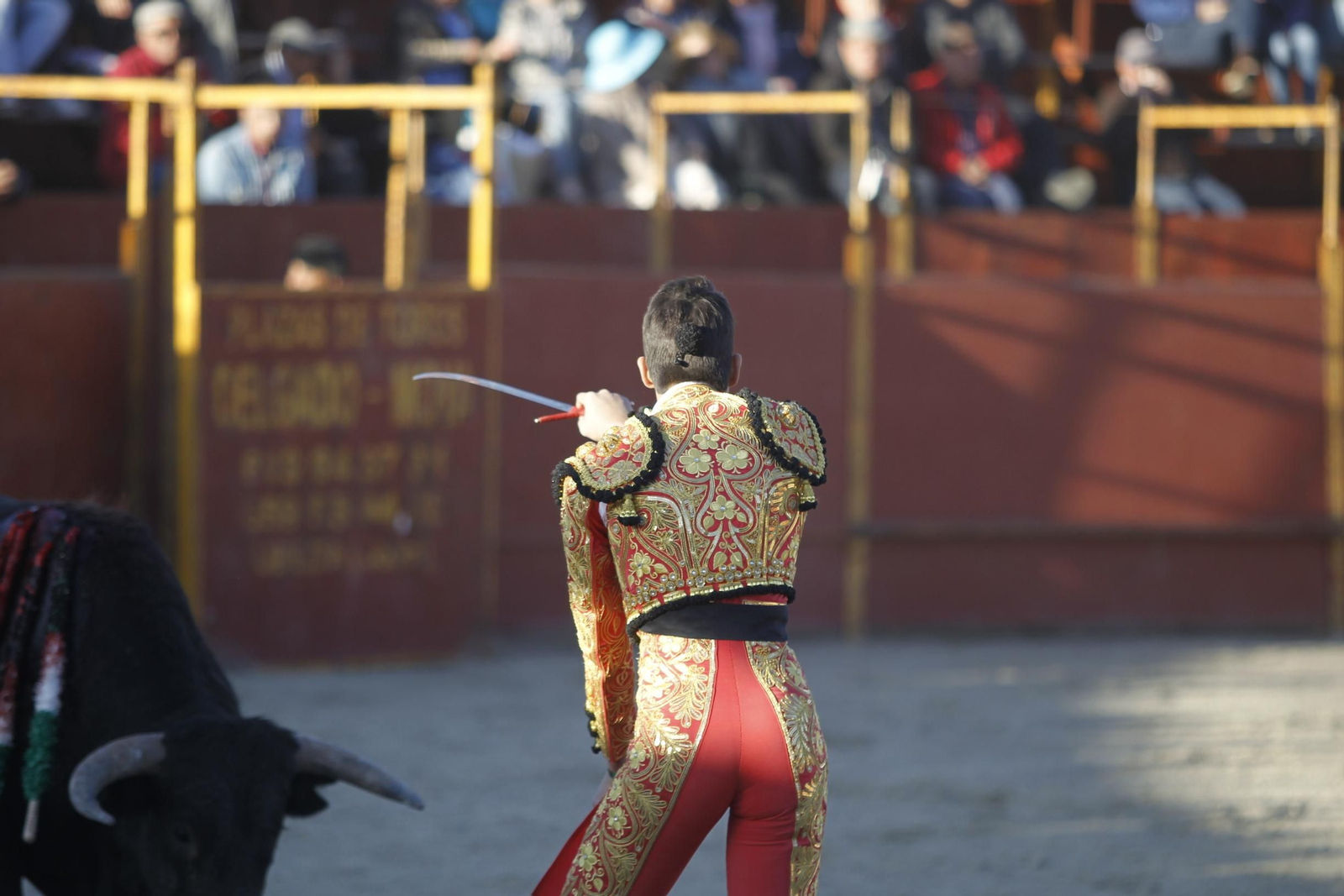 Fotogalería Novillada Fiestas de Abrucena
