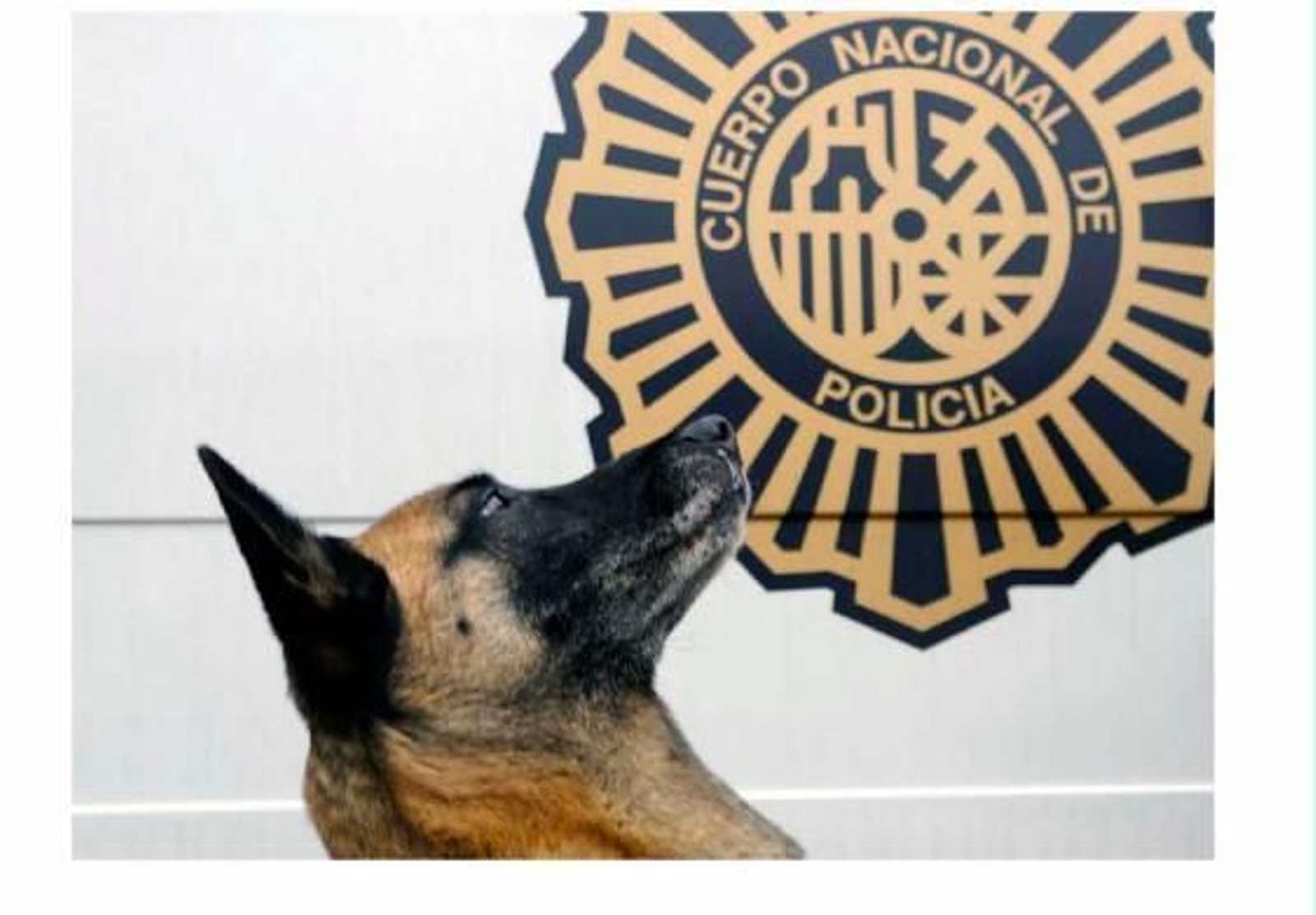 Perro policía