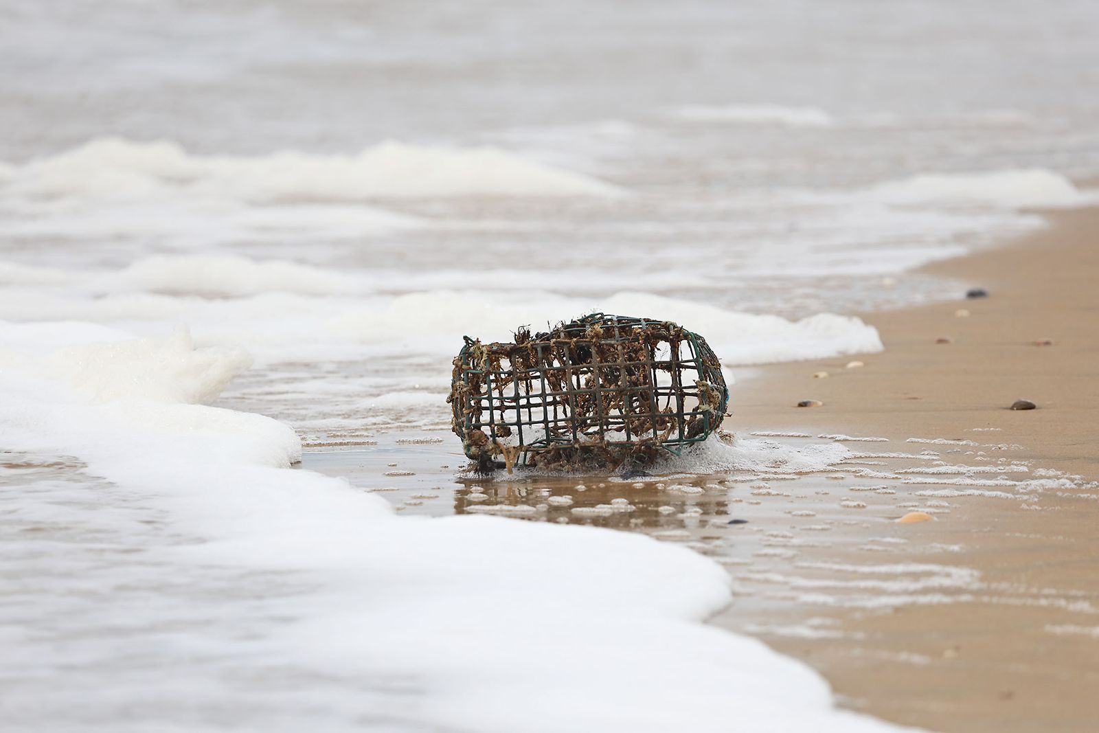 El inicio de 2026 en fotografías