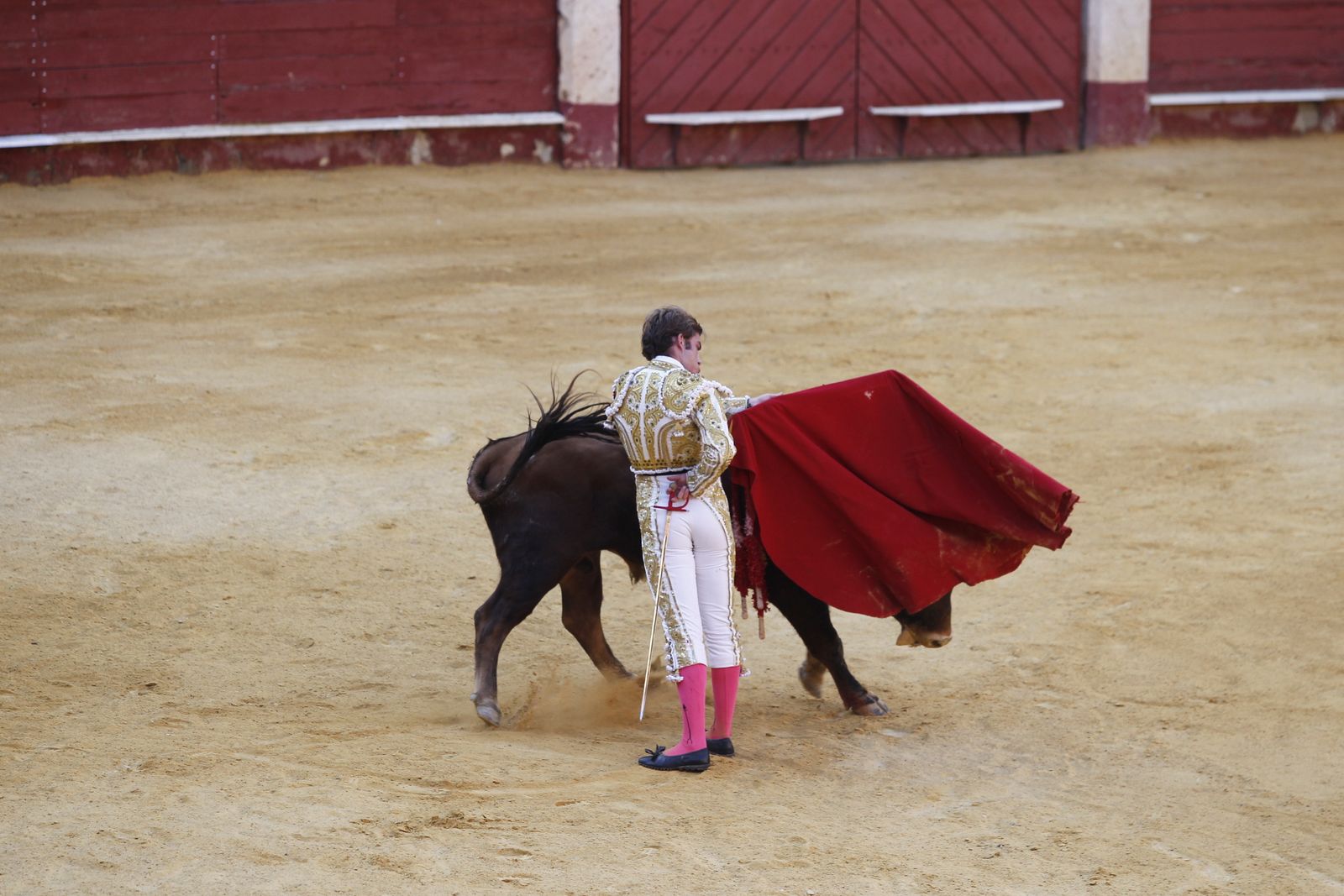 Fotogalería novillada Escuela Taurina de Almería. Feria de Almería 2019
